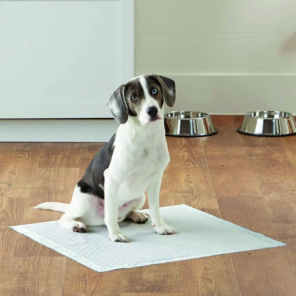 Croci Super Nappy Tappetini Igienici per Cani 60x90 cm, 10 Pezzi (Confezione da 2) - immagine 5