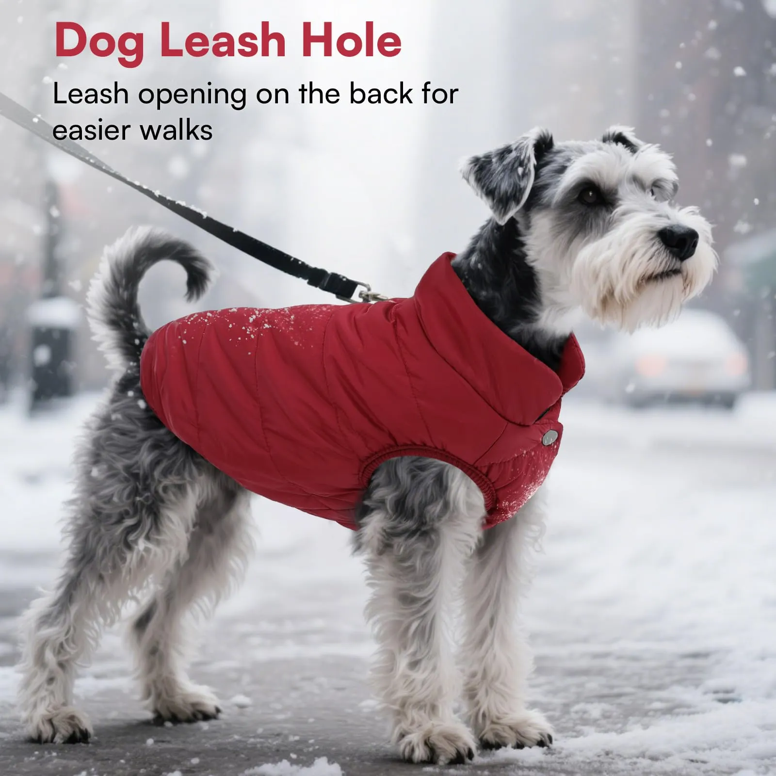ASENKU Cappotto Cane Impermeabile Invernale con Fodera in Lana, Rosso, Taglia L - immagine 6