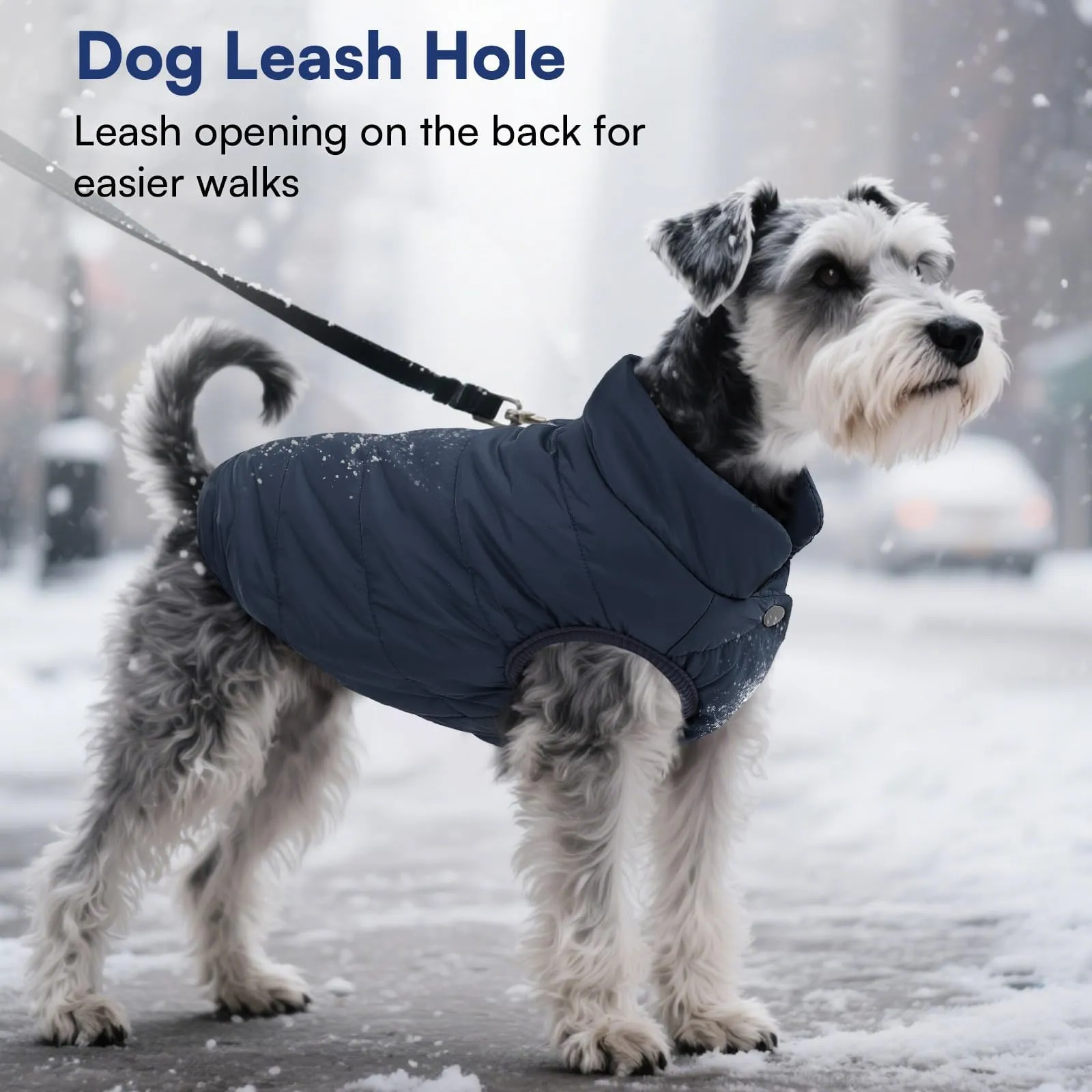 ASENKU Cappotto Invernale Impermeabile per Cane Grande, 3XL, Blu - immagine 7