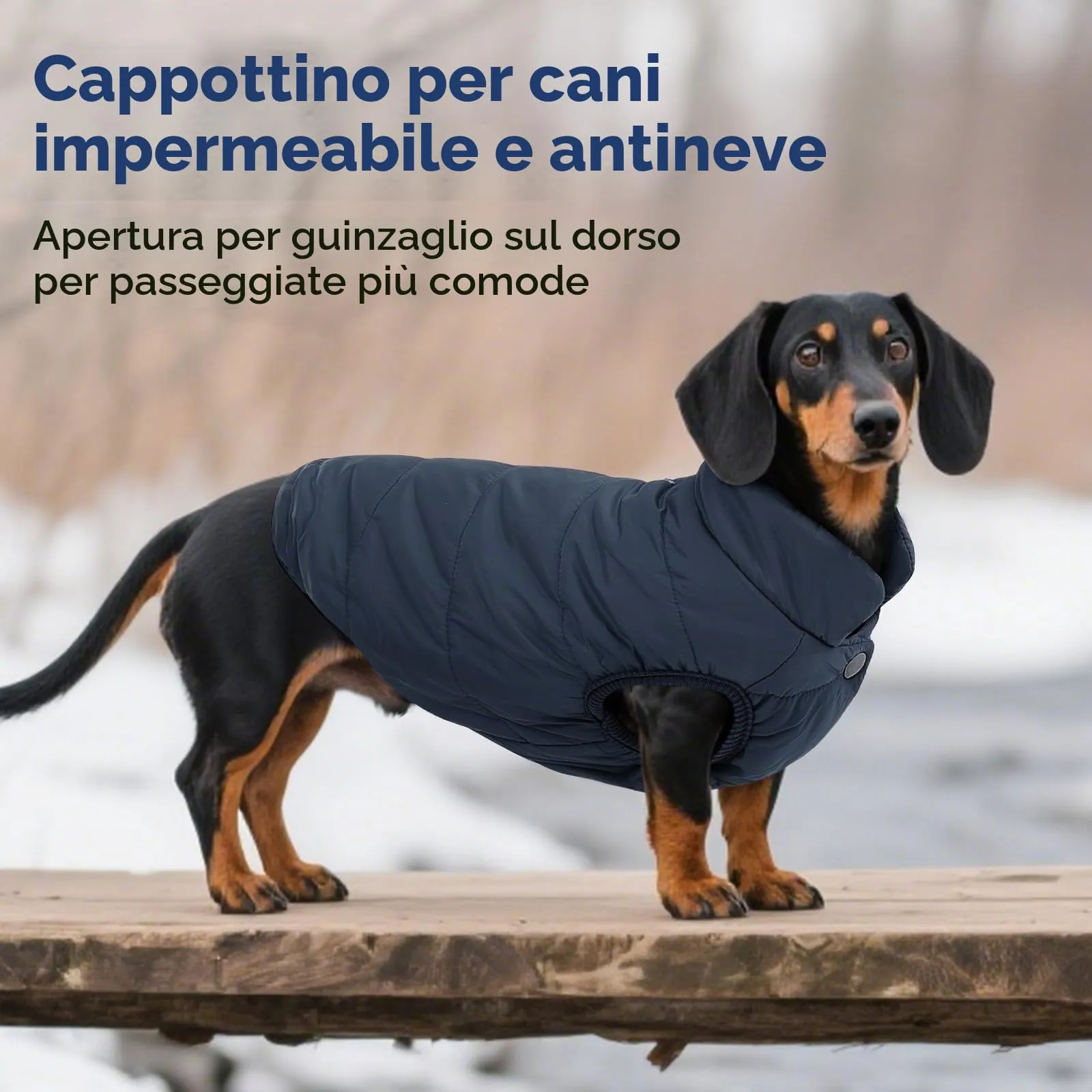 ASENKU Cappotto Impermeabile Invernale per Cani con Fodera in Lana - immagine 6