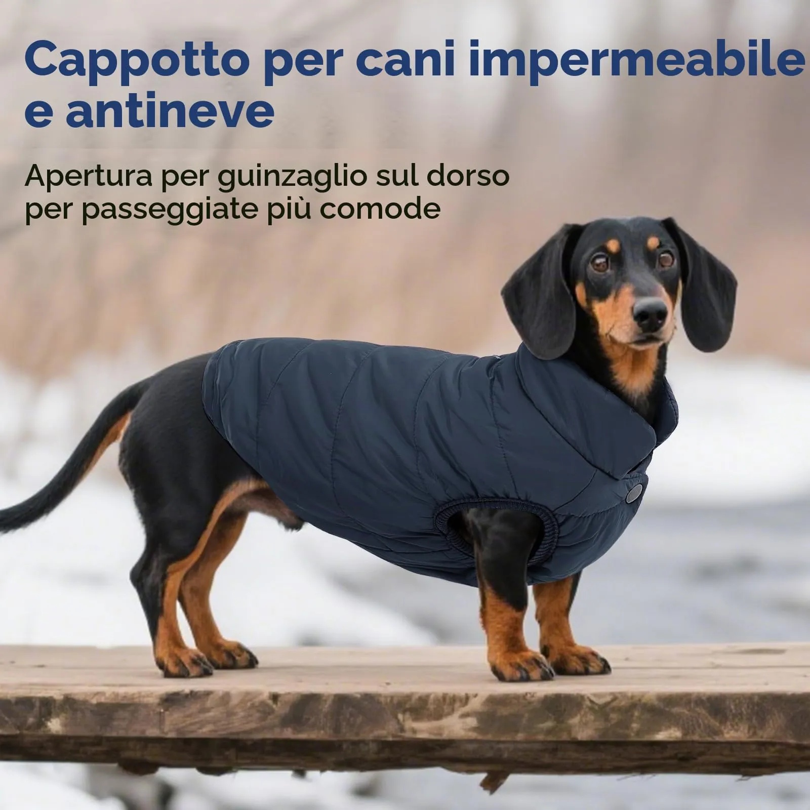 ASENKU Cappotto Impermeabile per Cane Grande, XL, Blu - immagine 6