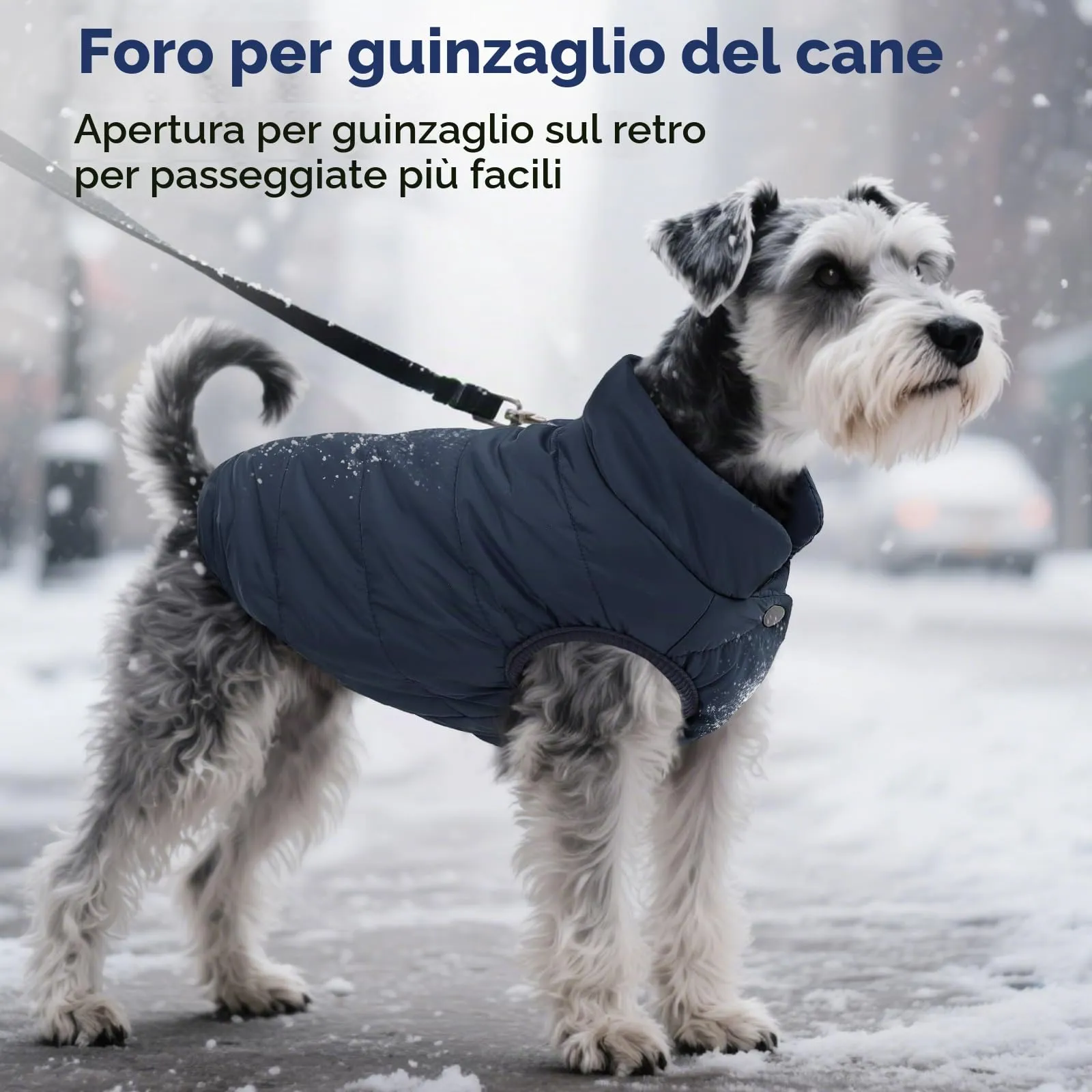 ASENKU Cappotto Impermeabile per Cane Grande, XL, Blu - immagine 7