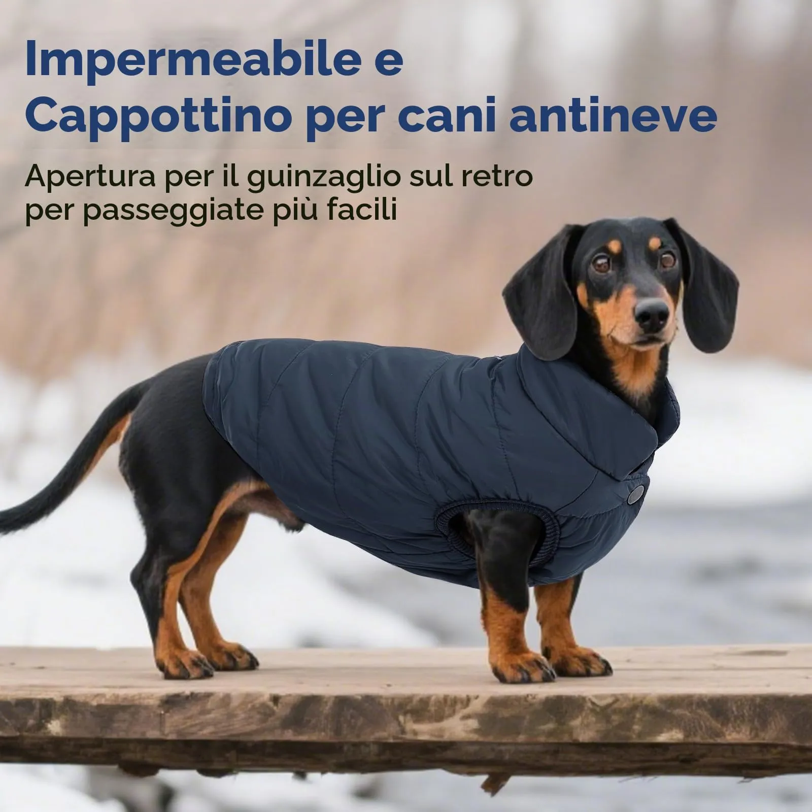 ASENKU Cappotto Impermeabile Invernale per Cani con Fodera in Lana, Taglia L, Blu - immagine 6