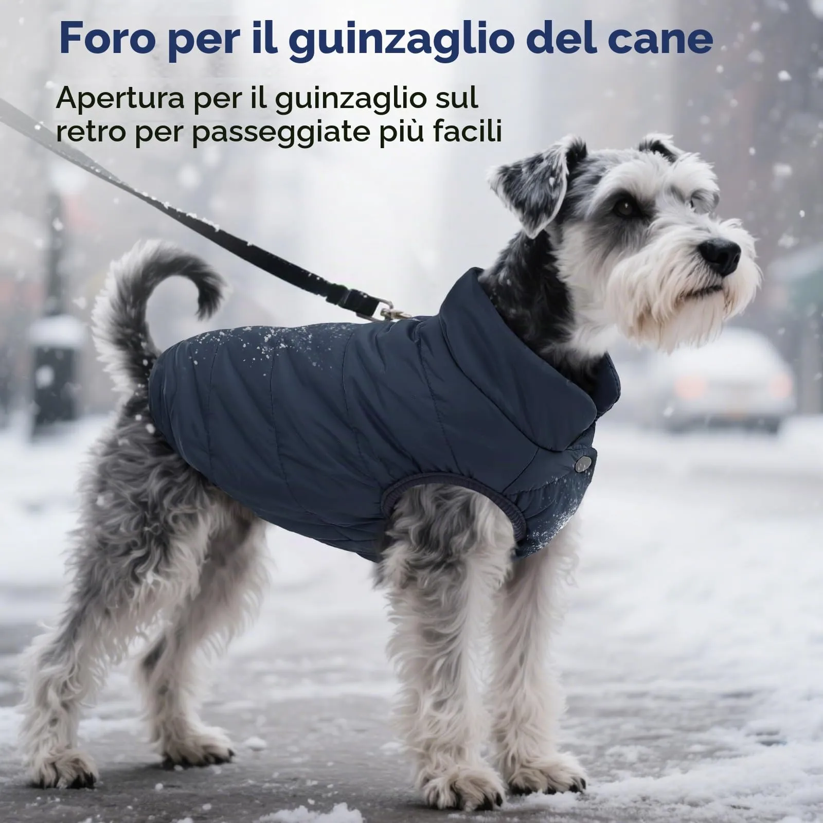 ASENKU Cappotto Impermeabile Invernale per Cani con Fodera in Lana, Taglia L, Blu - immagine 7