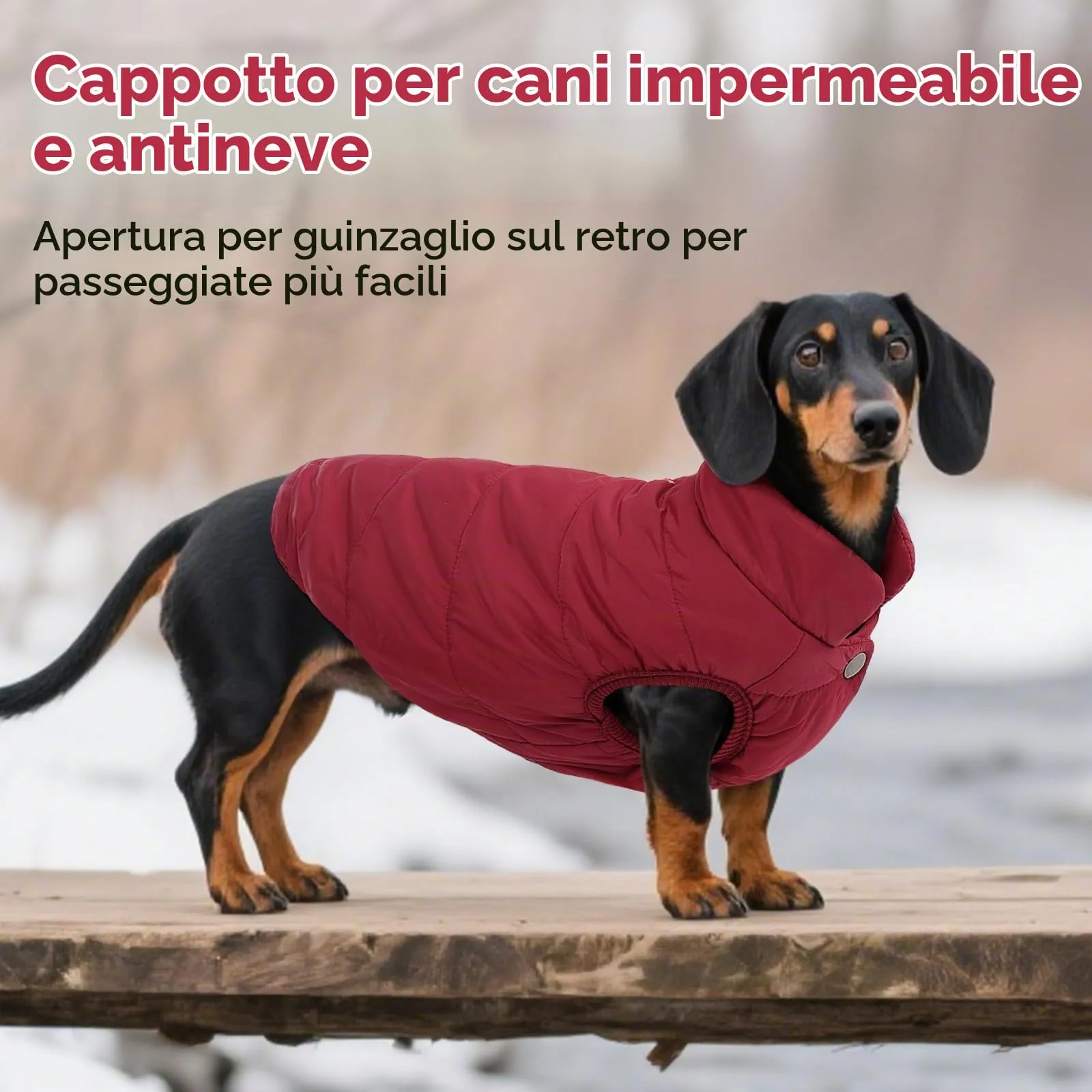 ASENKU Cappotto per Cane Impermeabile Invernale con Fodera in Lana - immagine 5