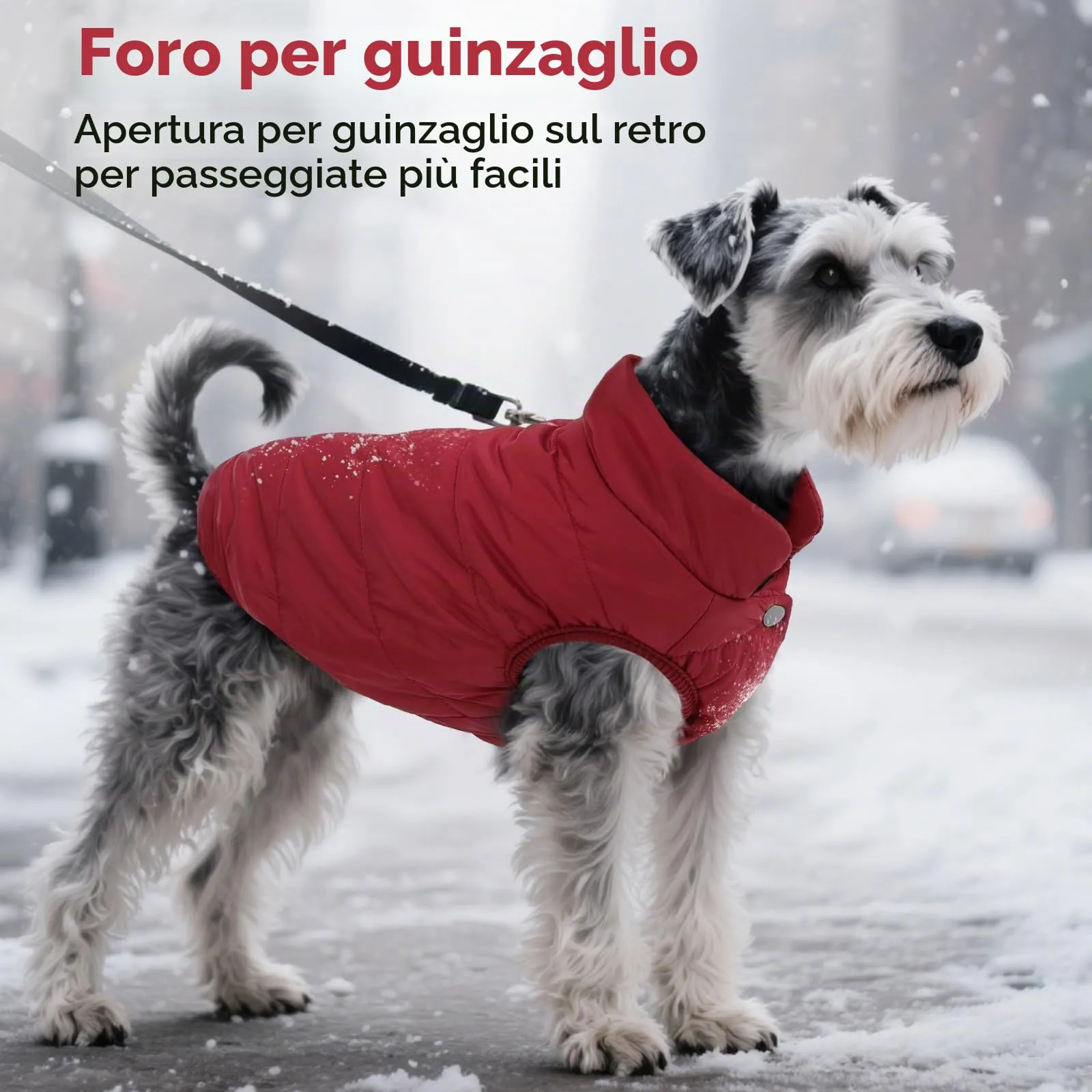 ASENKU Cappotto per Cane Impermeabile Invernale con Fodera in Lana - immagine 6