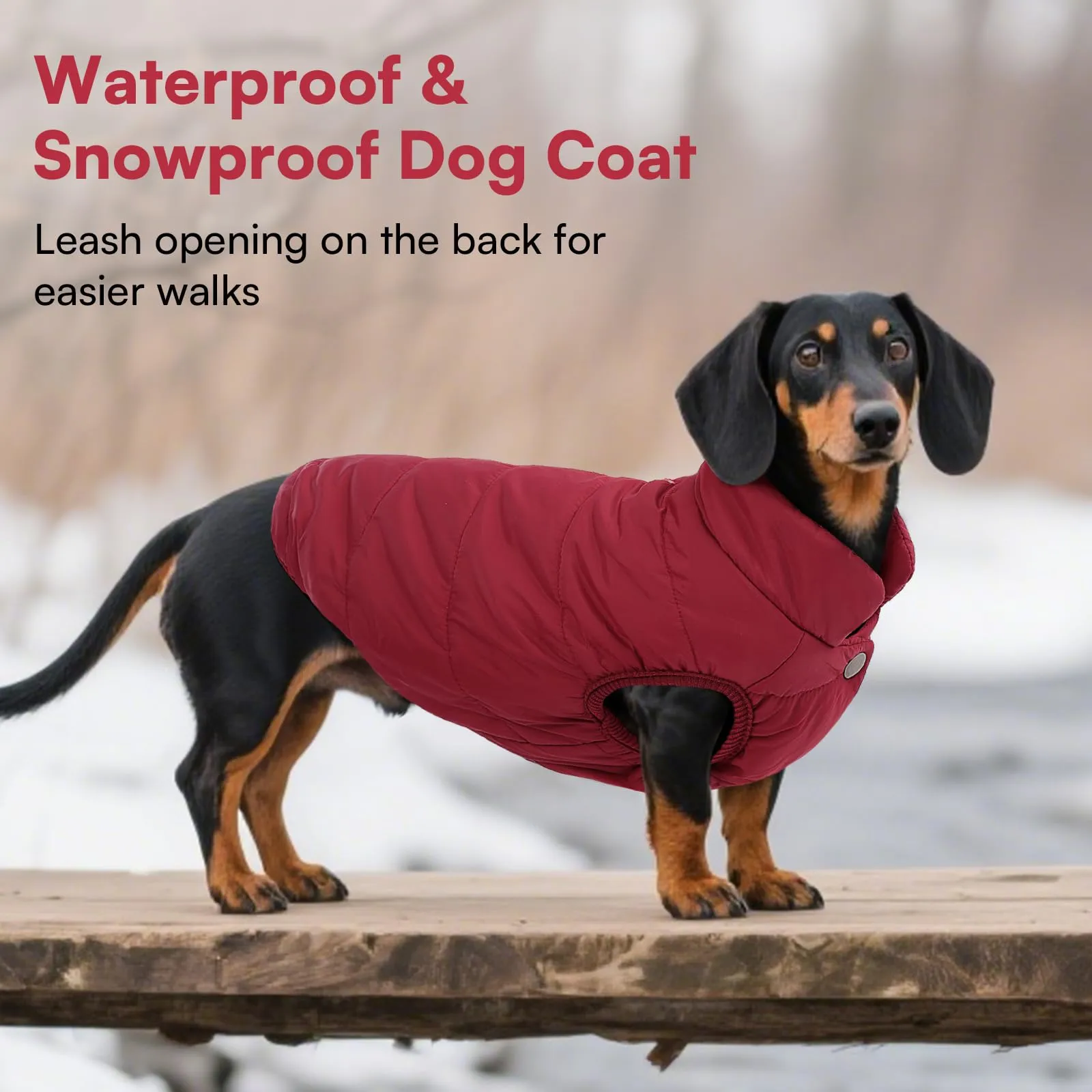 ASENKU Cappotto Invernale Impermeabile per Cane Grande, XXL, Rosso - immagine 5