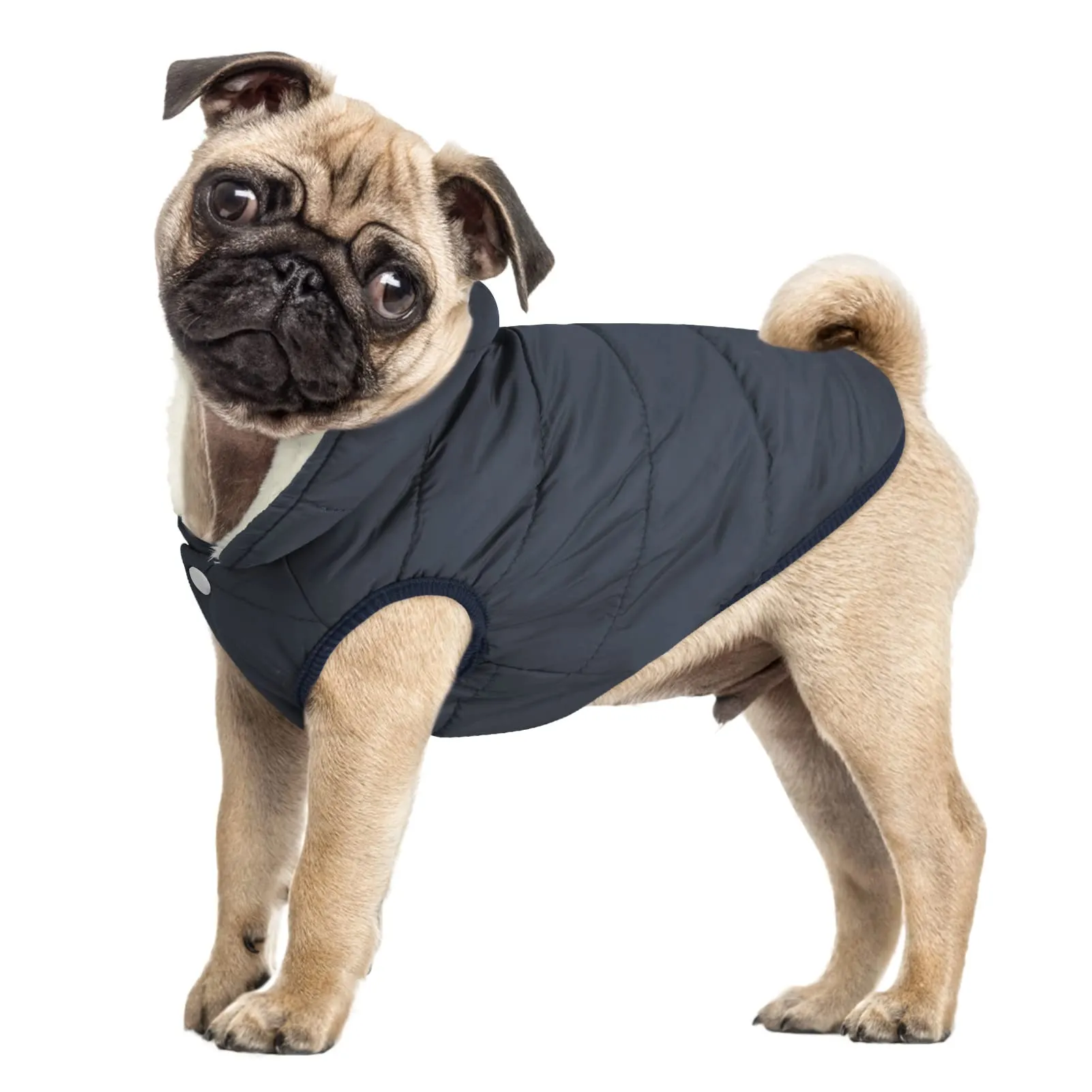 ASENKU Cappotto Invernale Impermeabile per Cane Grande, Taglia XXL, Blu - immagine 10