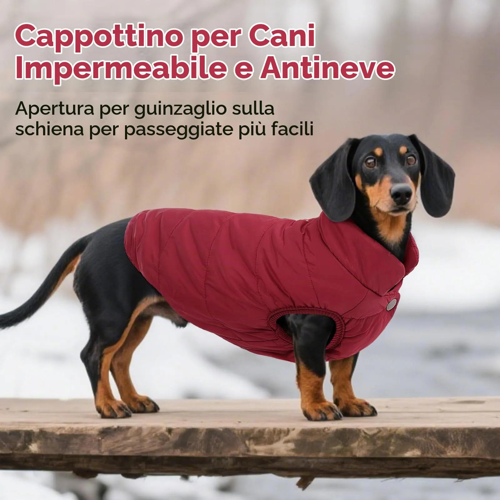 ASENKU Cappotto Inverno per Cane, Impermeabile e Pile Artica, Taglia S, Rosso - immagine 5