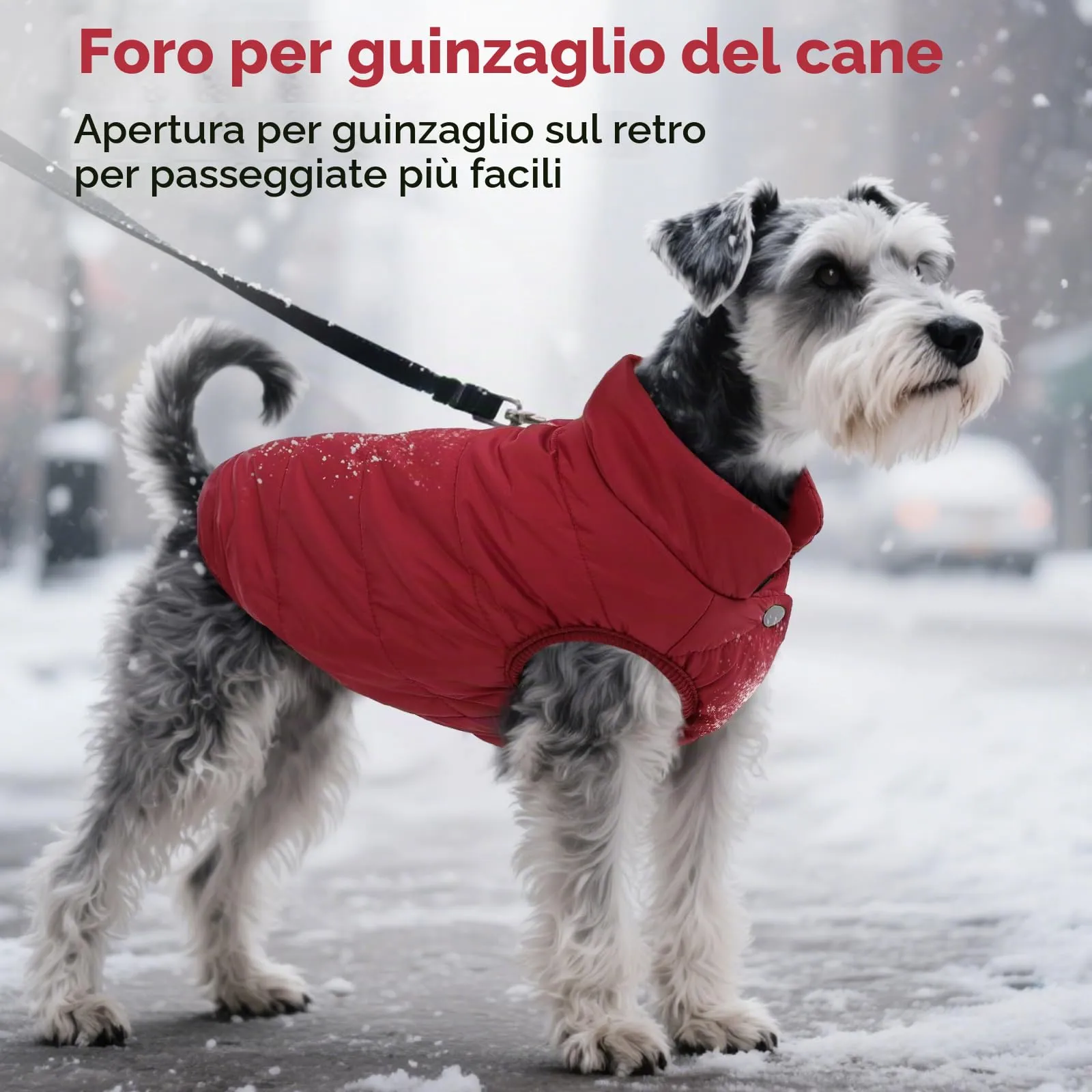 ASENKU Cappotto Inverno per Cane, Impermeabile e Pile Artica, Taglia S, Rosso - immagine 6