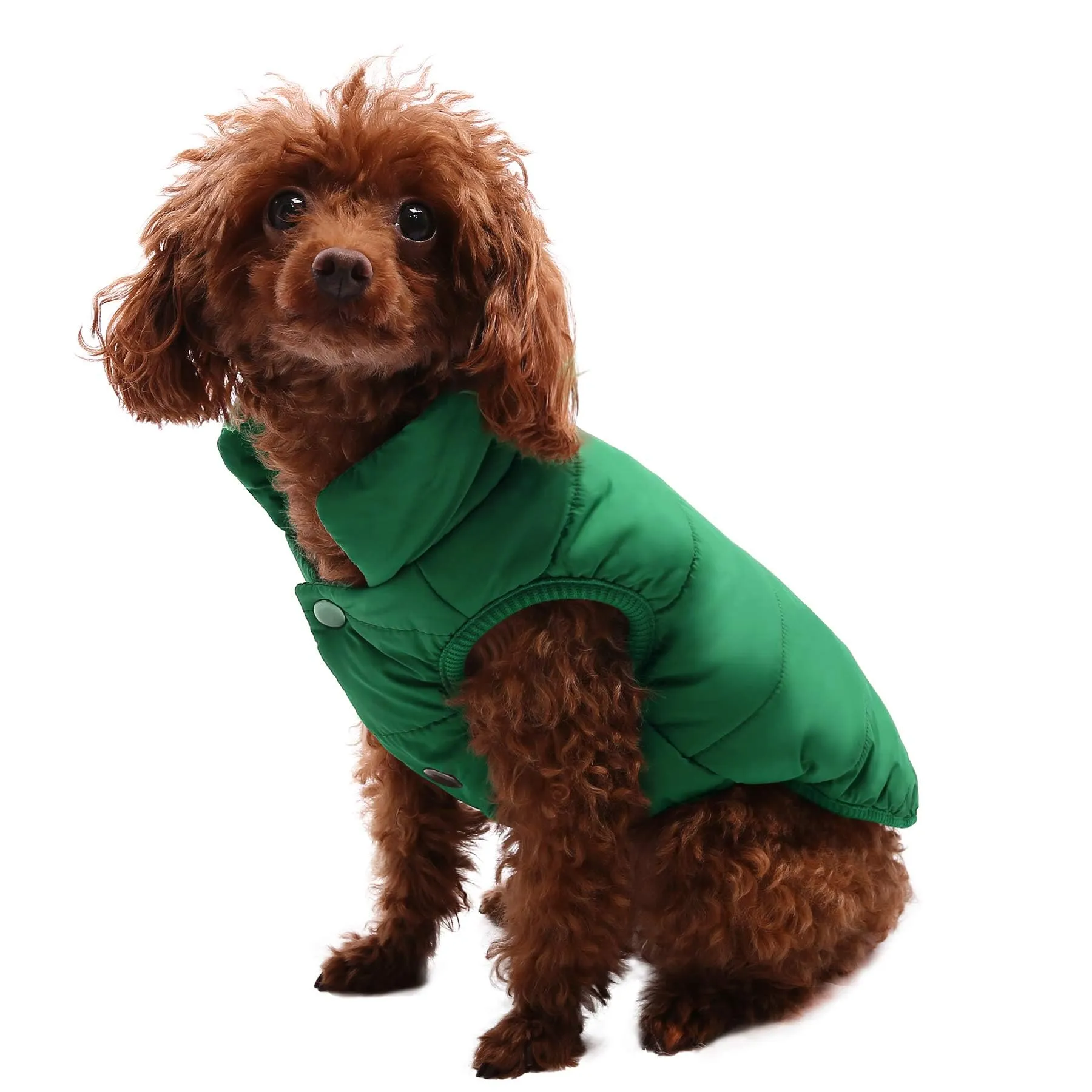 ASENKU Cappotto Impermeabile e Antivento per Cani, Gilet Invernale Foderato in Pile a 2 Strati, Verde, XS - immagine 8