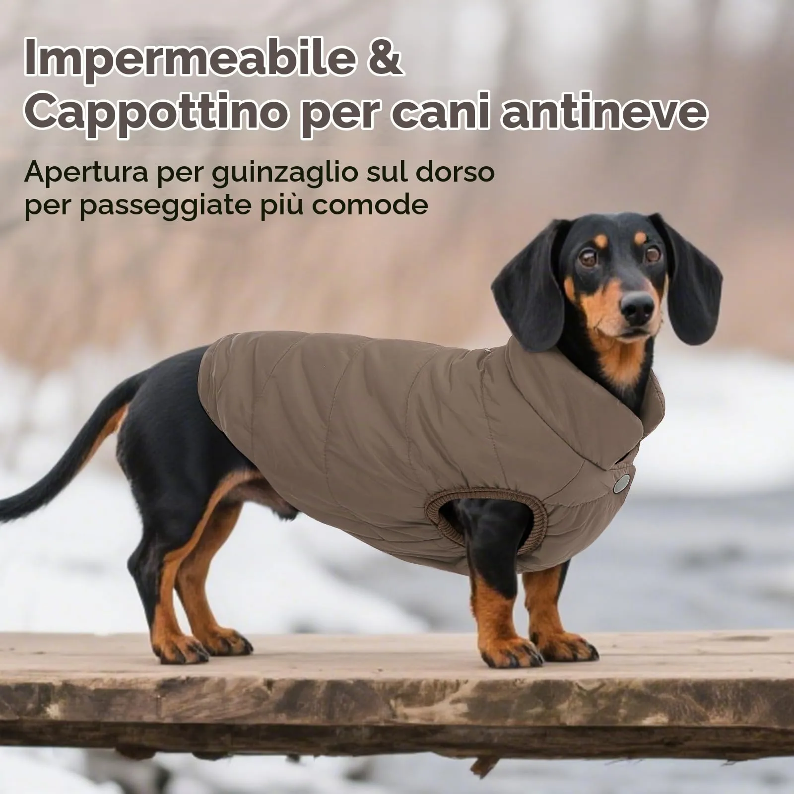 ASENKU Cappotto Impermeabile Invernale per Cani con Fodera in Lana, Taglia L, Marrone - immagine 5