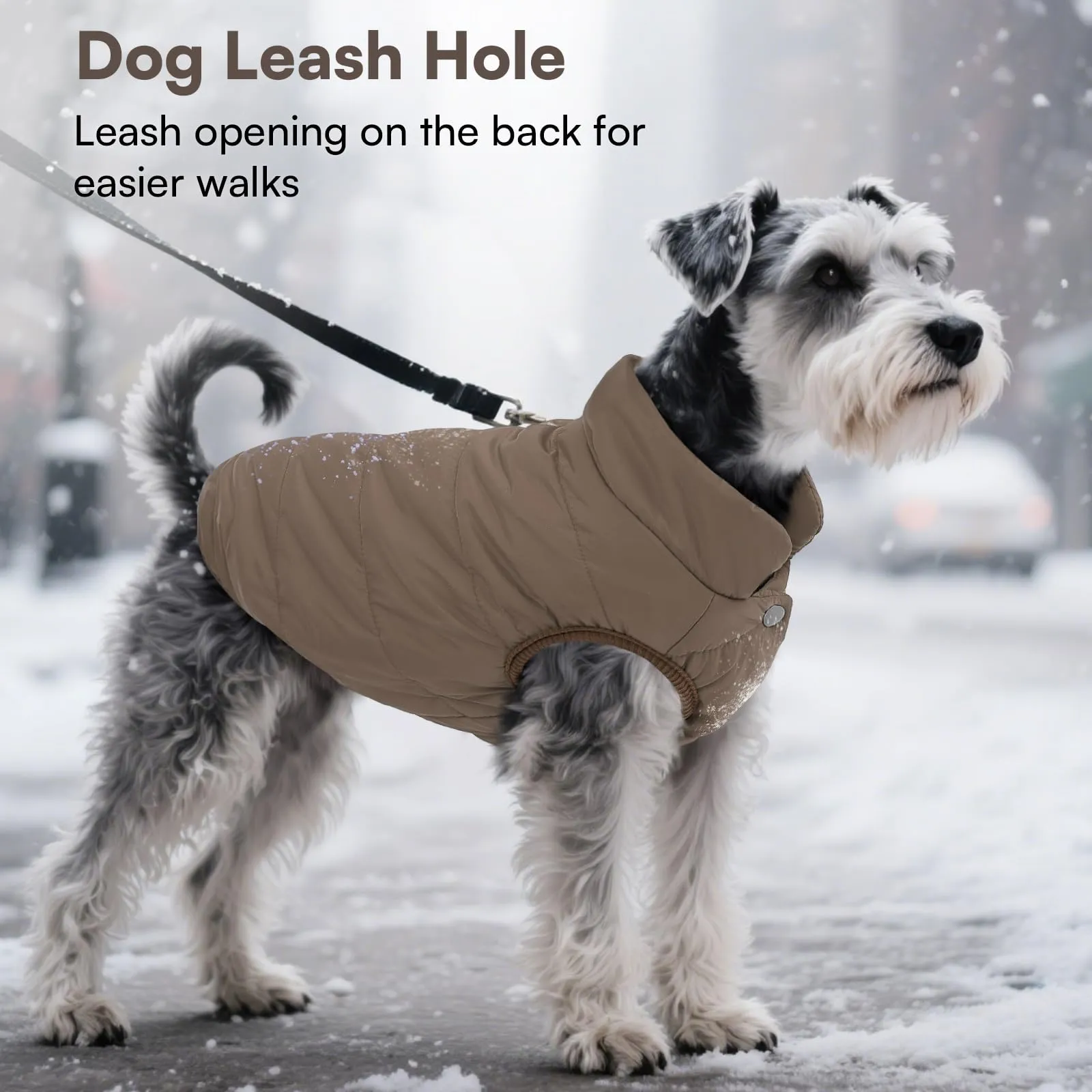 ASENKU Cappotto per Cane Inverno Impermeabile, Fodera Calda, 3XL - immagine 6