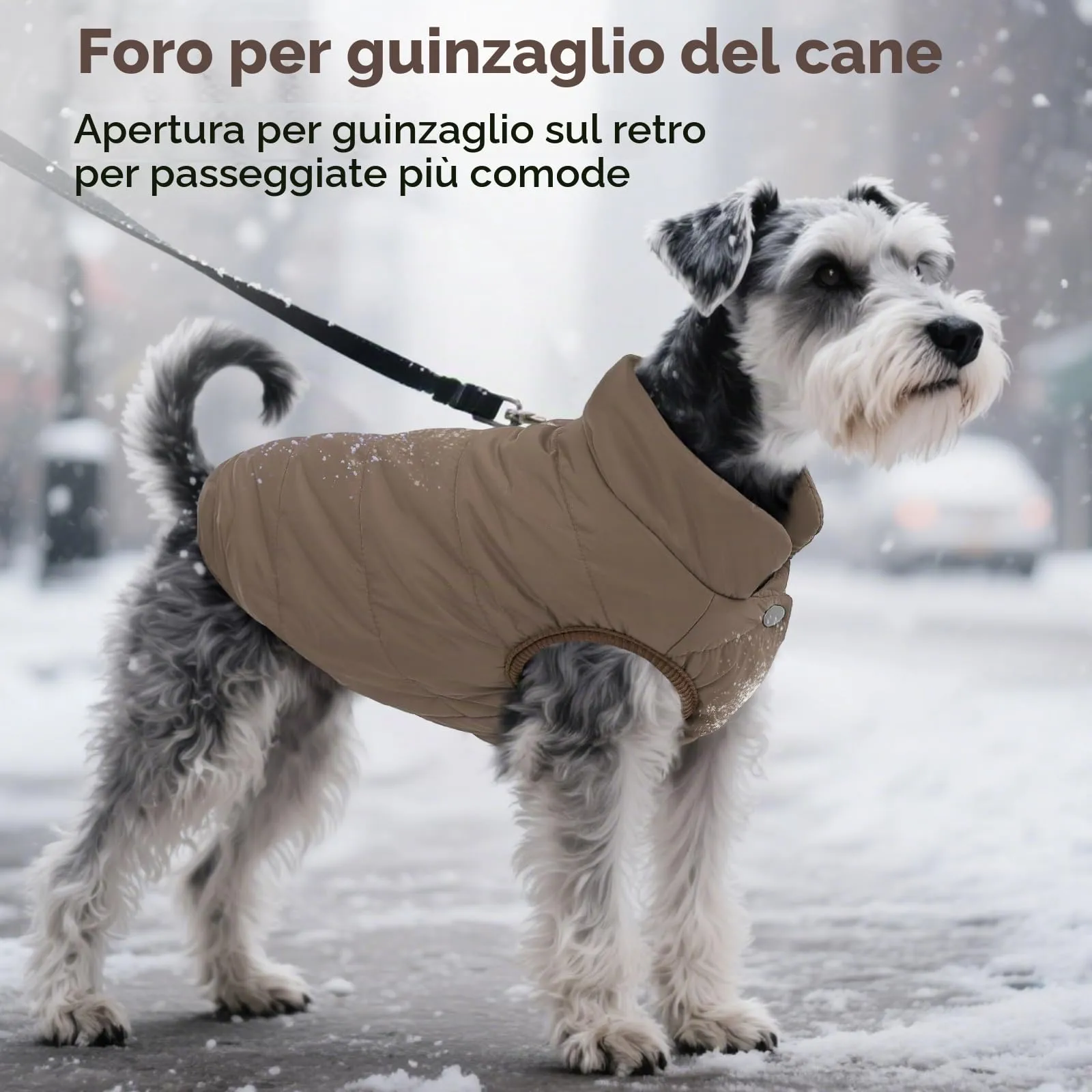 ASENKU Cappotto Inverno per Cane, Impermeabile con Fodera in Pile Artica, Taglia S - immagine 6