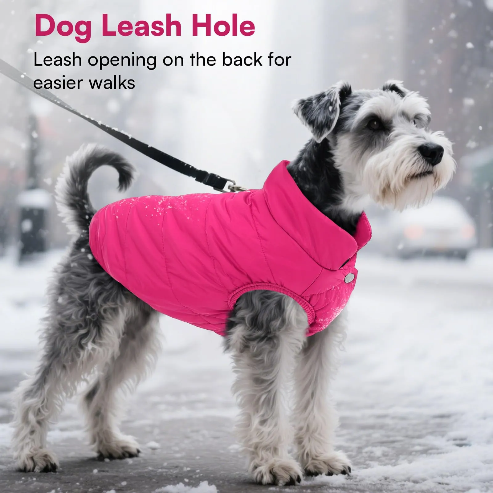 ASENKU Cappotto Impermeabile Inverno per Cane, Fodera Polare, Taglia L, Rosa - immagine 6