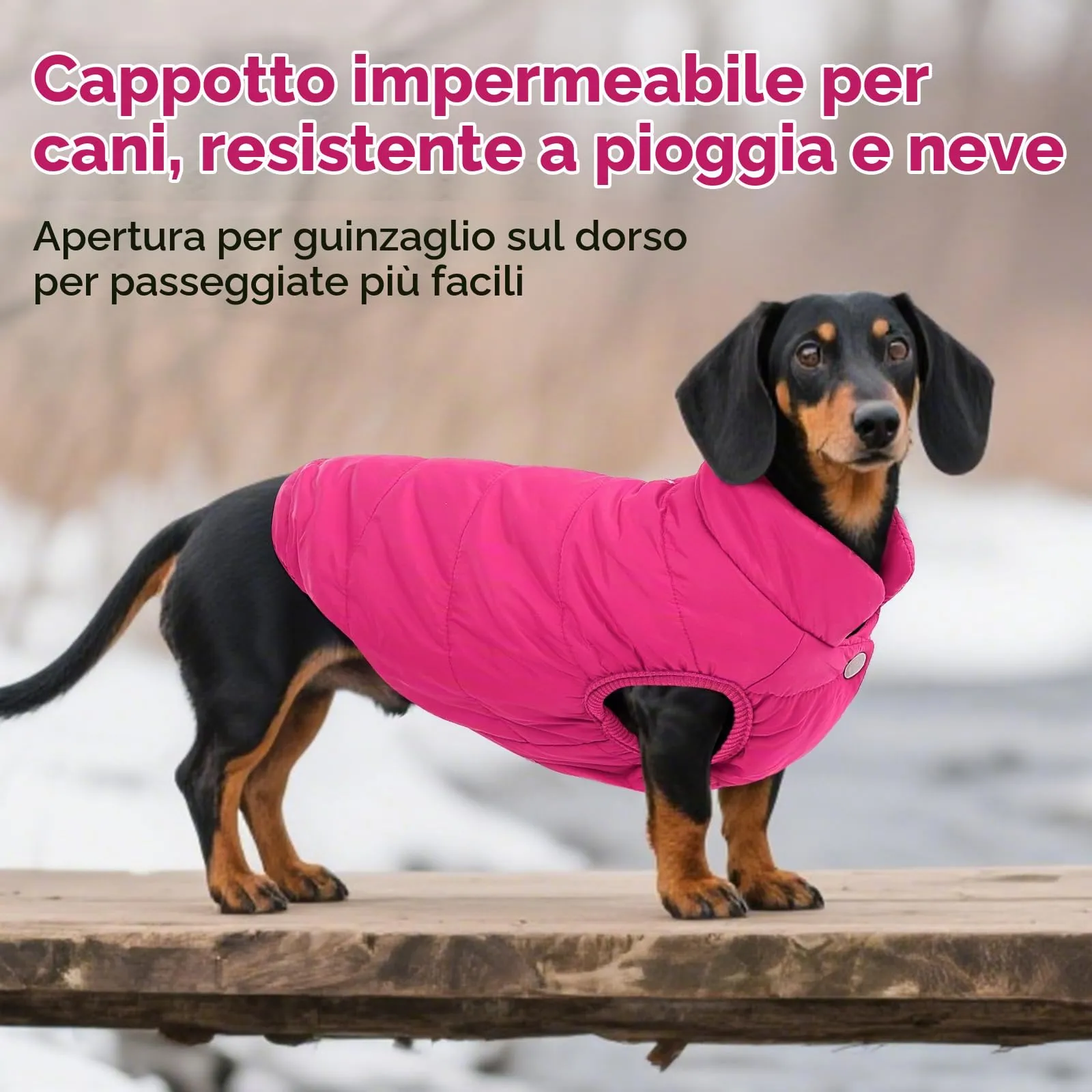 ASENKU Cappotto Impermeabile Inverno per Cane, Fodera Polare, Bottoni Ventrali, Apertura Guinzaglio, Taglia M, Rosa - immagine 5
