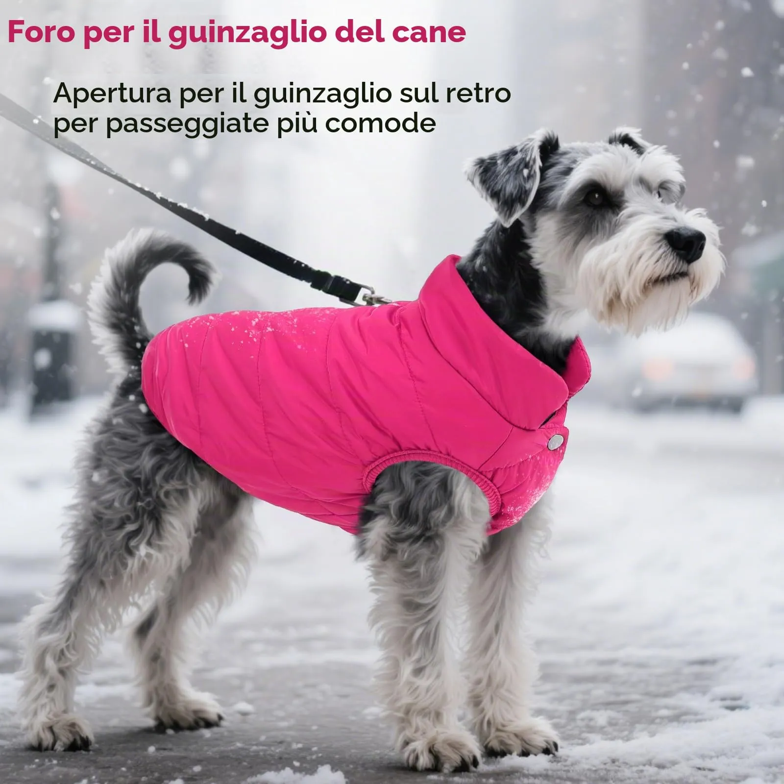 ASENKU Cappotto Impermeabile Inverno per Cane, Fodera Polare, Bottoni Ventrali, Apertura Guinzaglio, Taglia M, Rosa - immagine 6