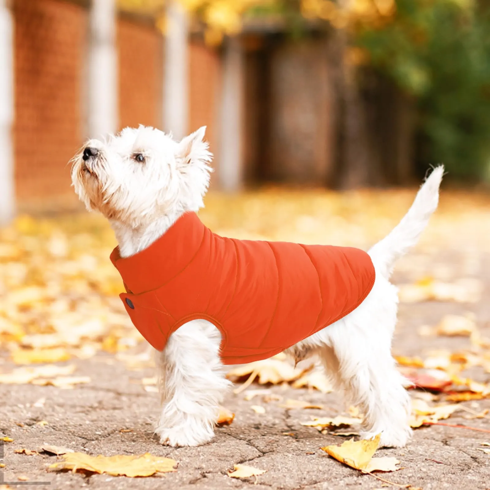 ASENKU Cappotto invernale per cani, giacca impermeabile e antivento in poliestere, Arancione, XS - immagine 5