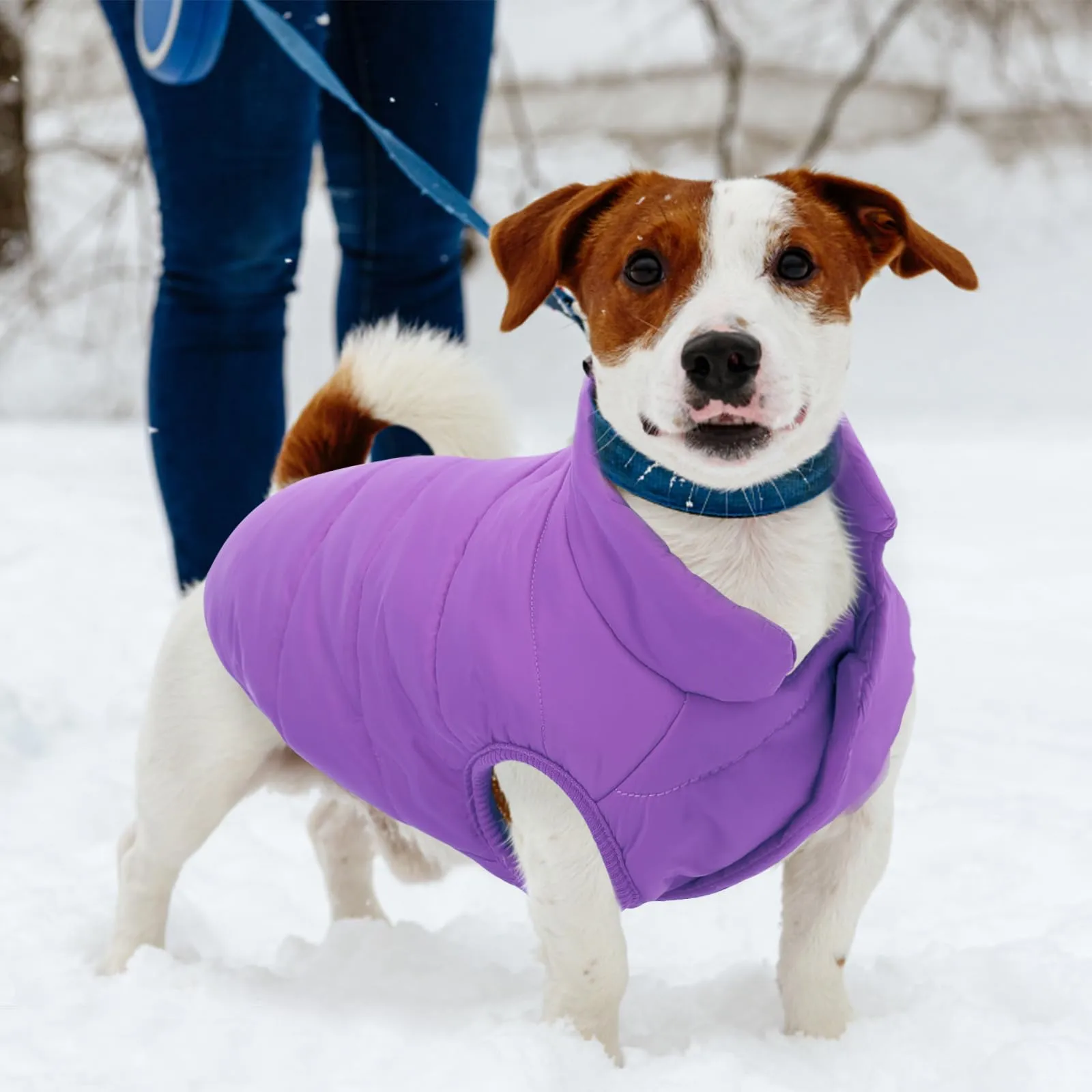 ASENKU Cappotto Invernale Impermeabile e Antivento per Cani, Viola, Taglia S - immagine 7