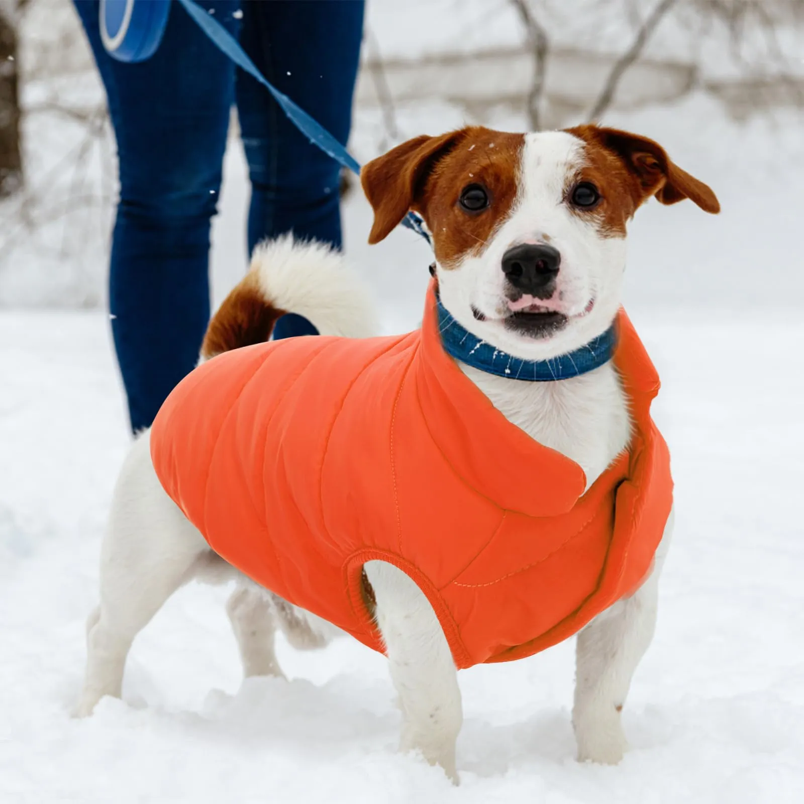 ASENKU Cappotto Invernale per Cani Impermeabile e Antivento, Gilet Imbottito Anti-neve, Arancione, Taglia S - immagine 6