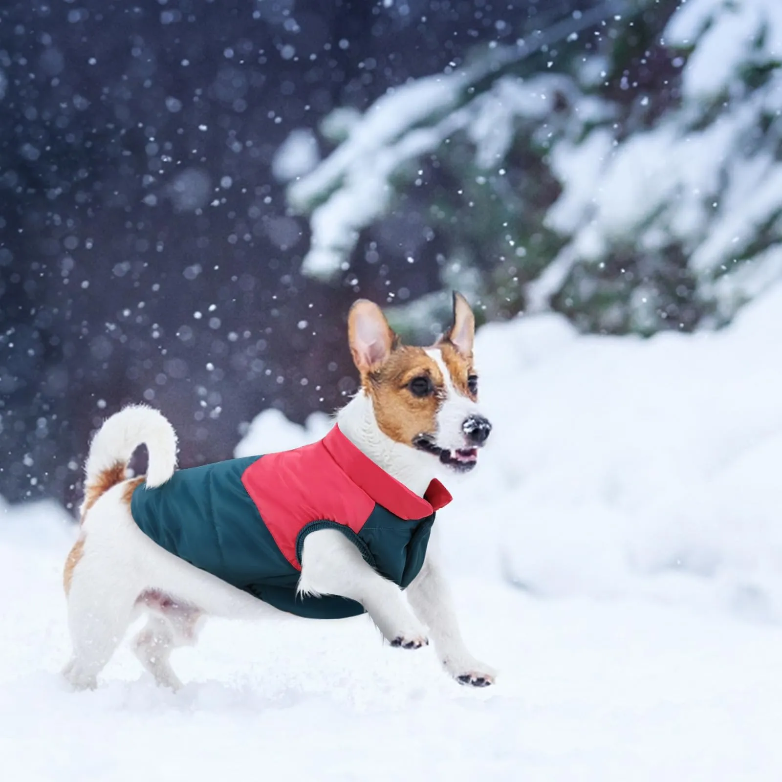 ASENKU Cappotto Invernale per Cani, Giacca Imbottita in Pile, XXL - immagine 5