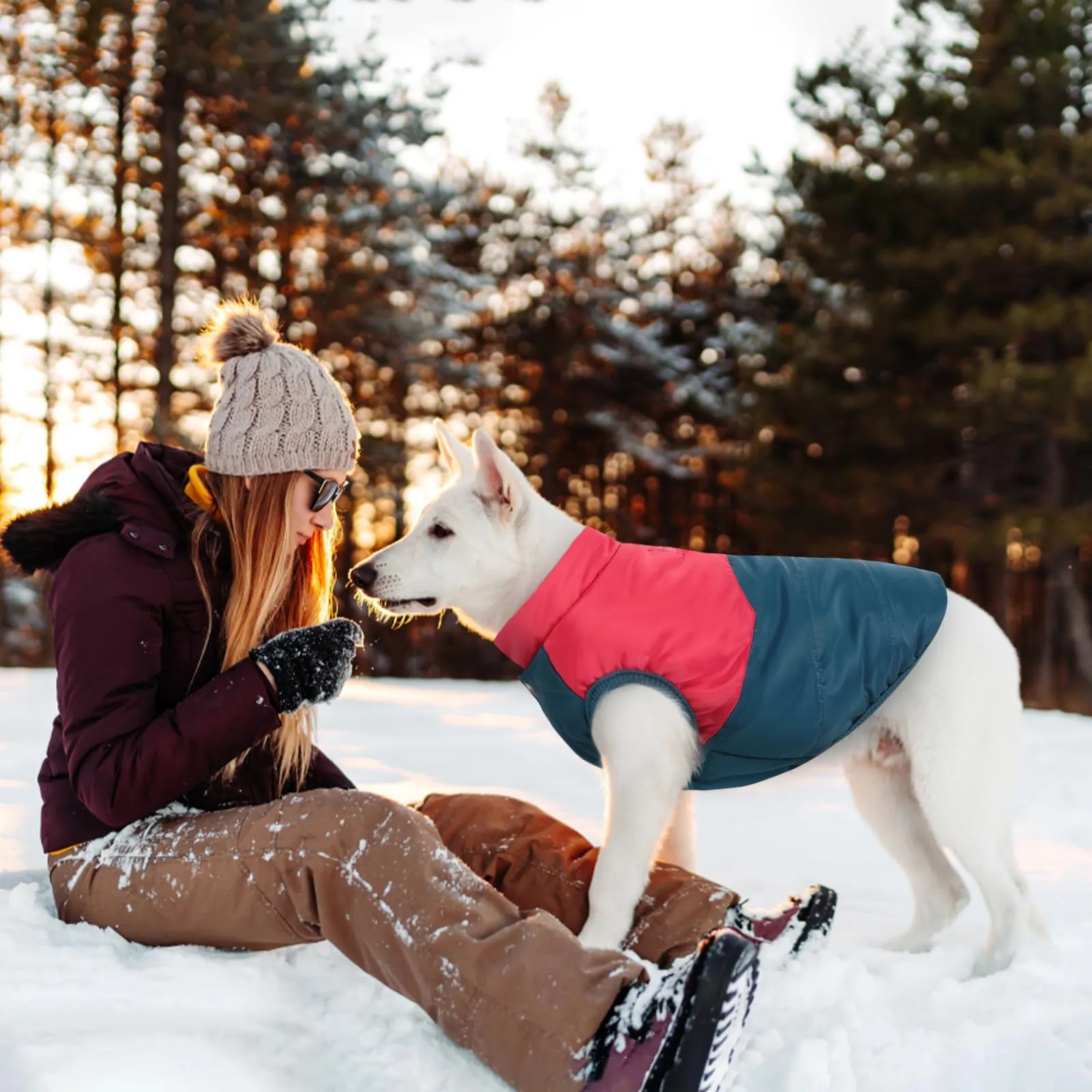 ASENKU Cappotto Invernale per Cani, Giacca Imbottita in Pile, XXL - immagine 6
