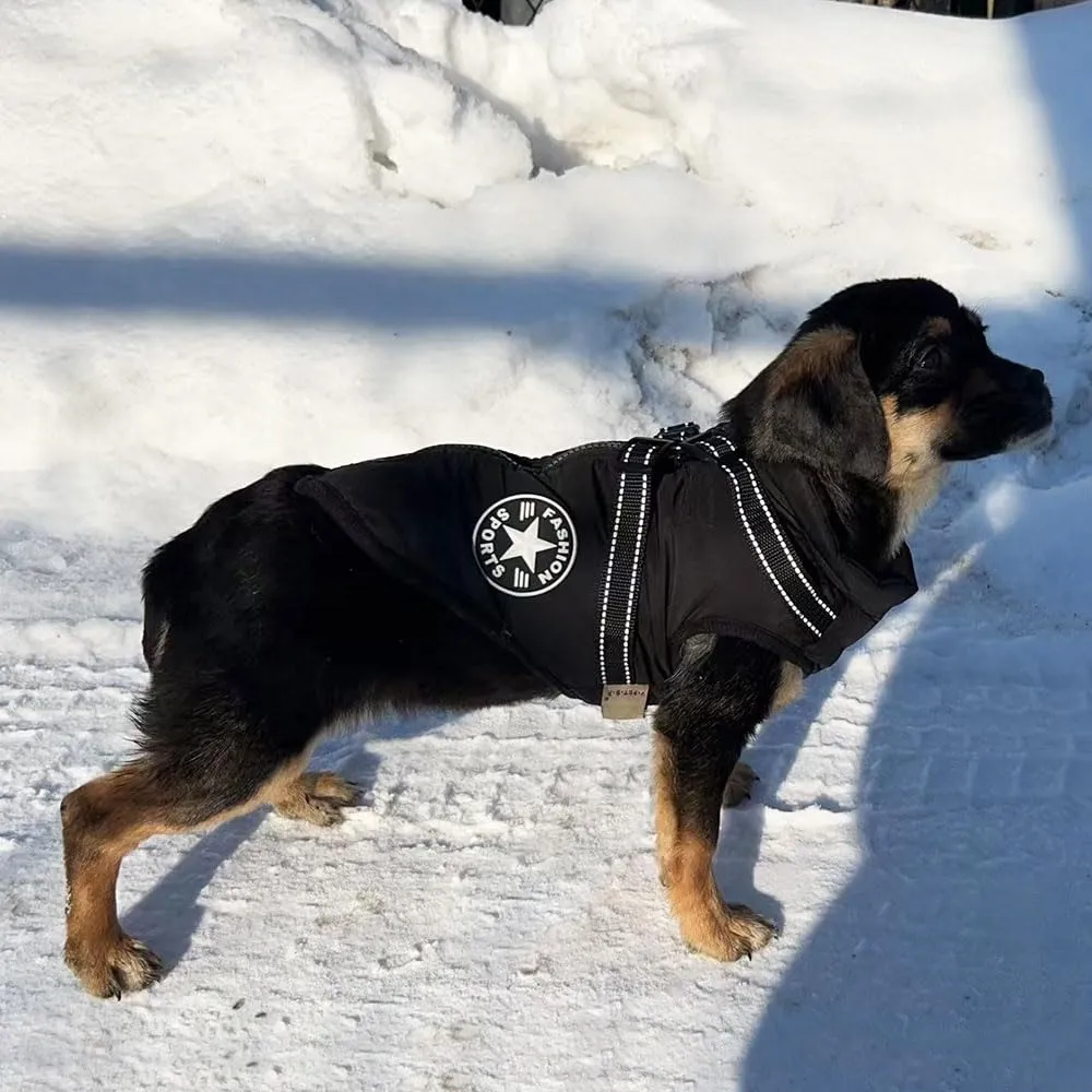 Voarge Giubbotto invernale per cani con pettorina, impermeabile e riflettente (Nero, XL) - immagine 7