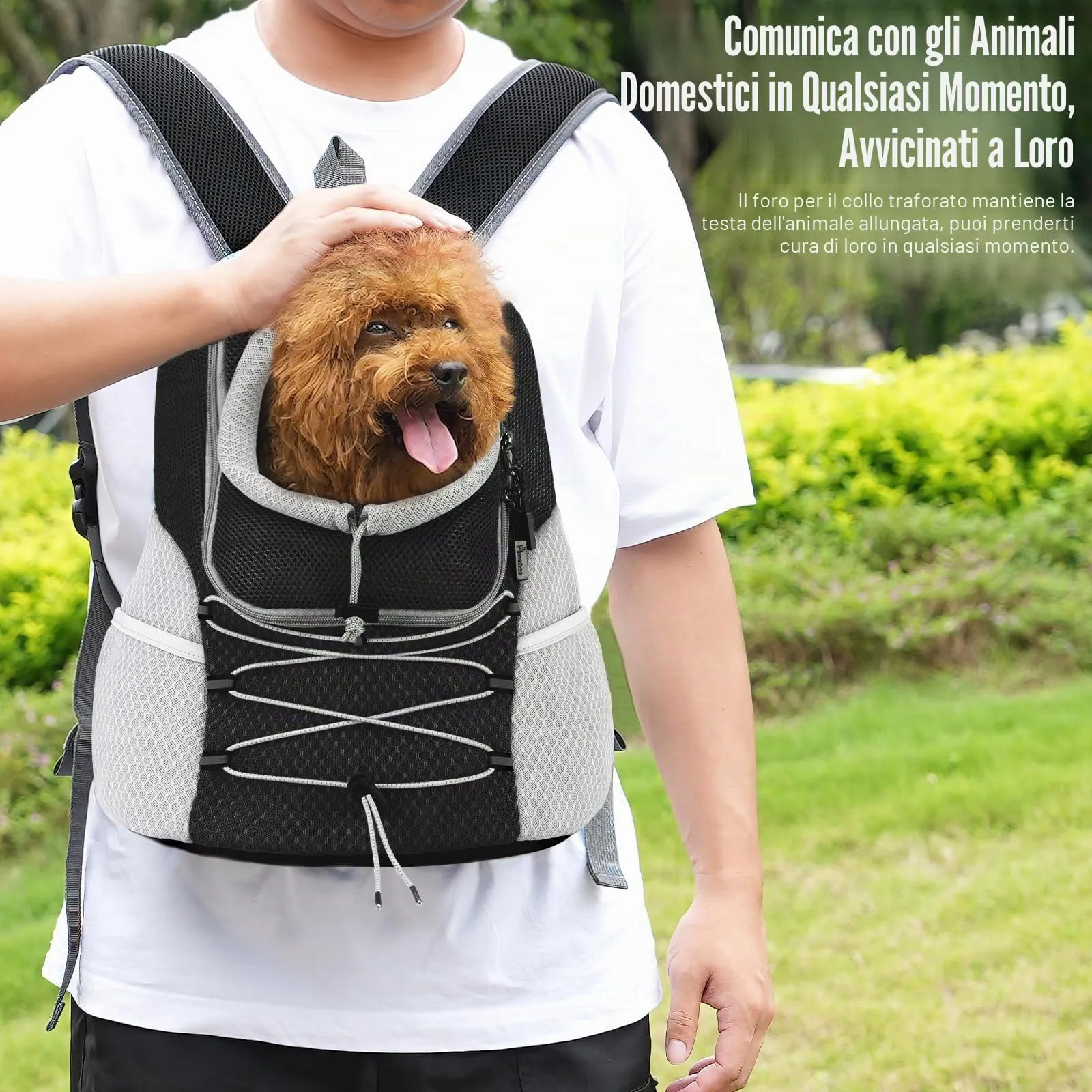 Pawaboo Zaino Trasportino Anteriore per Cani - immagine 4