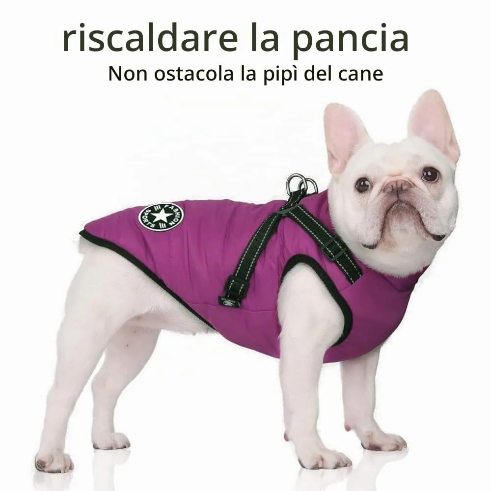 Voarge Giubbotto Invernale per Cani con Pettorina, Impermeabile e Riflettente, Lilla, S - immagine 2