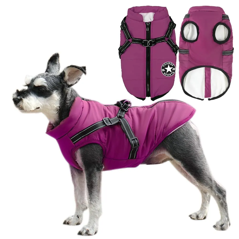 Voarge Giubbotto Invernale per Cani con Pettorina, Impermeabile e Riflettente (Lilla, M) - immagine 1