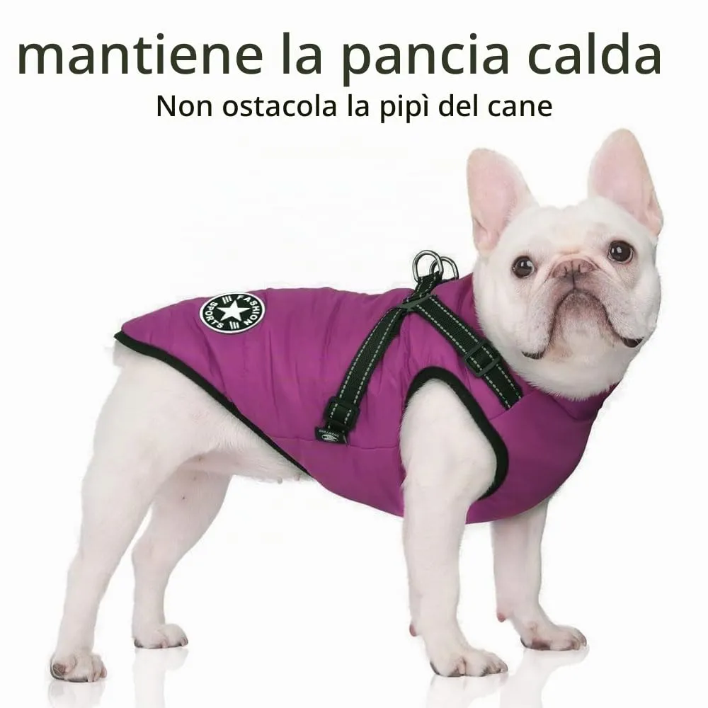 Voarge Giubbotto Invernale per Cani con Pettorina, Impermeabile e Riflettente (Lilla, XXL) - immagine 2