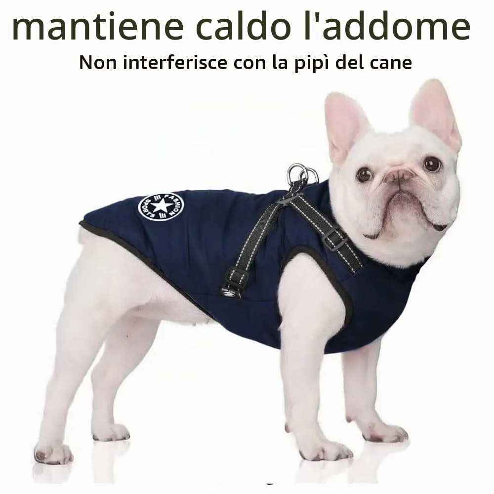 Voarge Giubbotto Invernale per Cani con Pettorina Impermeabile e Strisce Riflettenti, Small - immagine 2