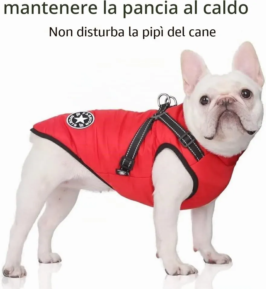 Voarge Giacca Gilet Invernale per Cani Impermeabile con Pettorina, Strisce Riflettenti e Anello a D, Taglia 5X-Large, Rosso - immagine 2
