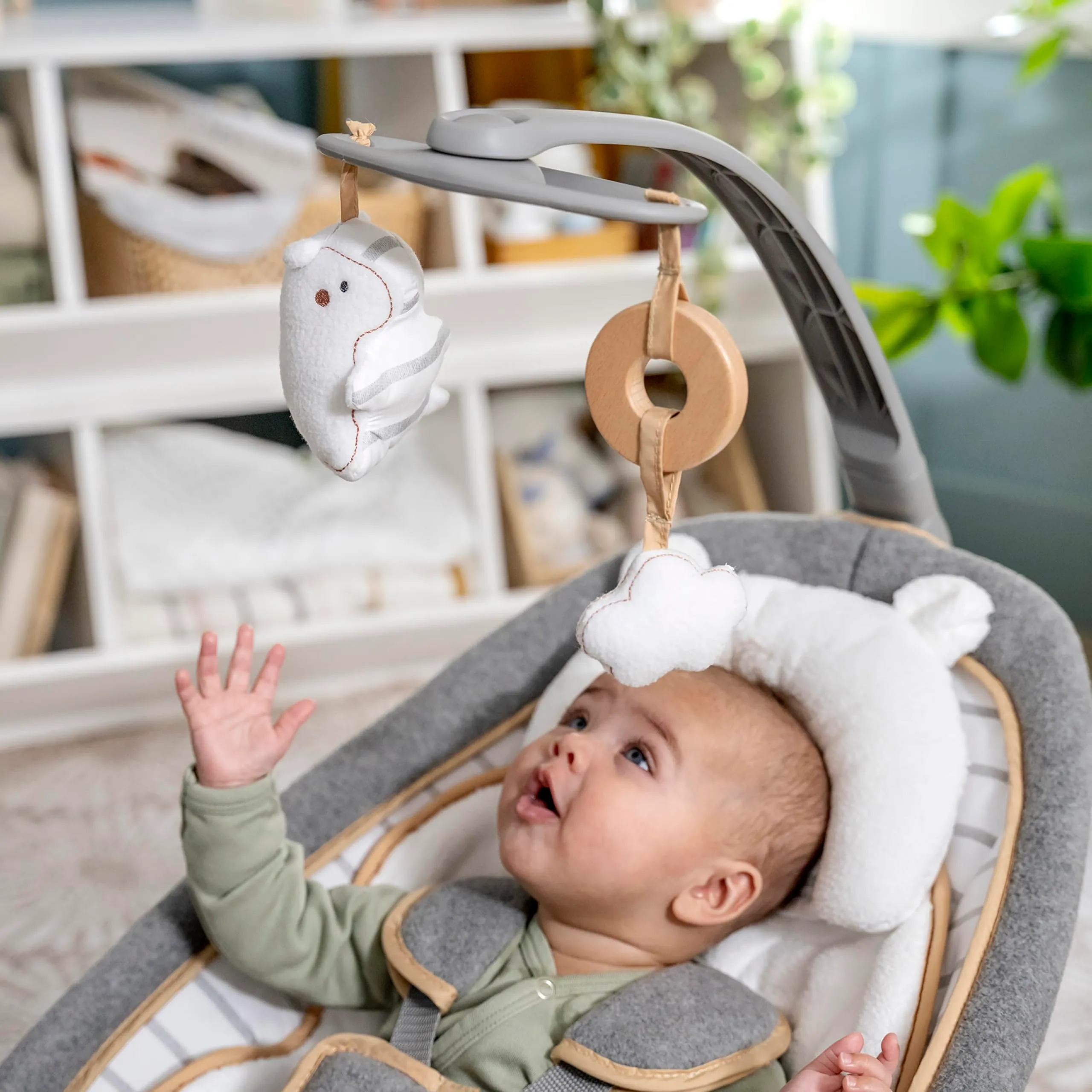 Ingenuity 10986 Dondolino Bella Teddy Boutique Collection - immagine 7