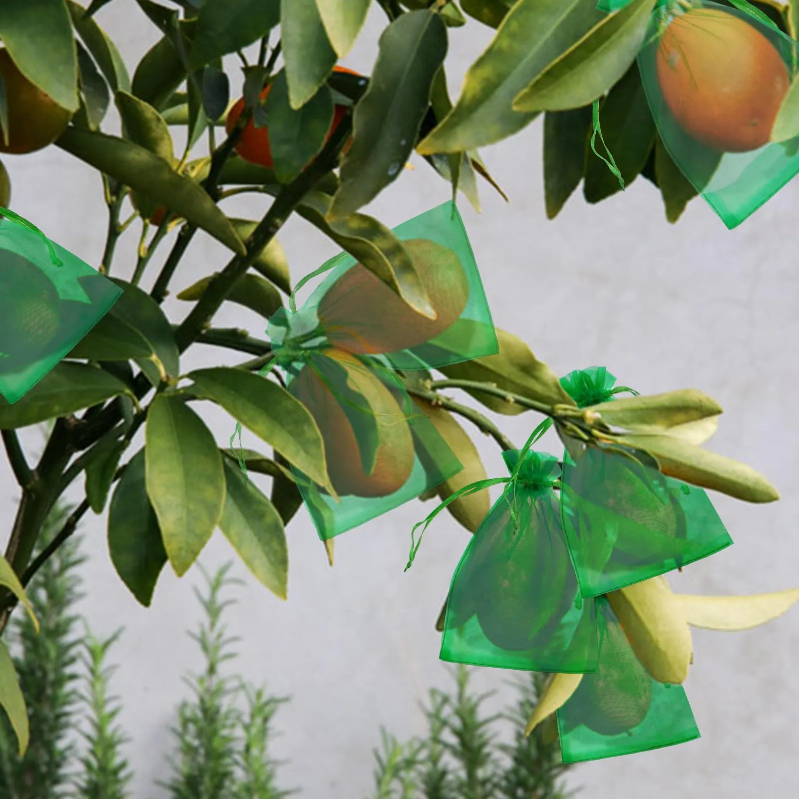G2PLUS 50PCS Verde Sacchetti Organza,7x9CM Sacchetti Organza Regalo - immagine 5