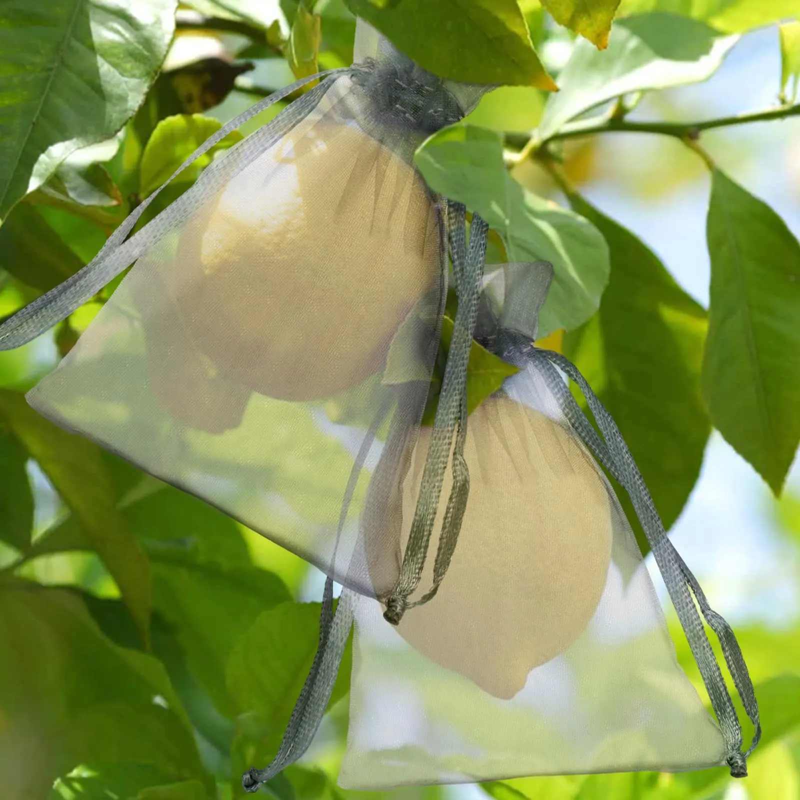 G2PLUS Sacchetti Organza Grigio, 10x15cm, 50 Pezzi - immagine 8
