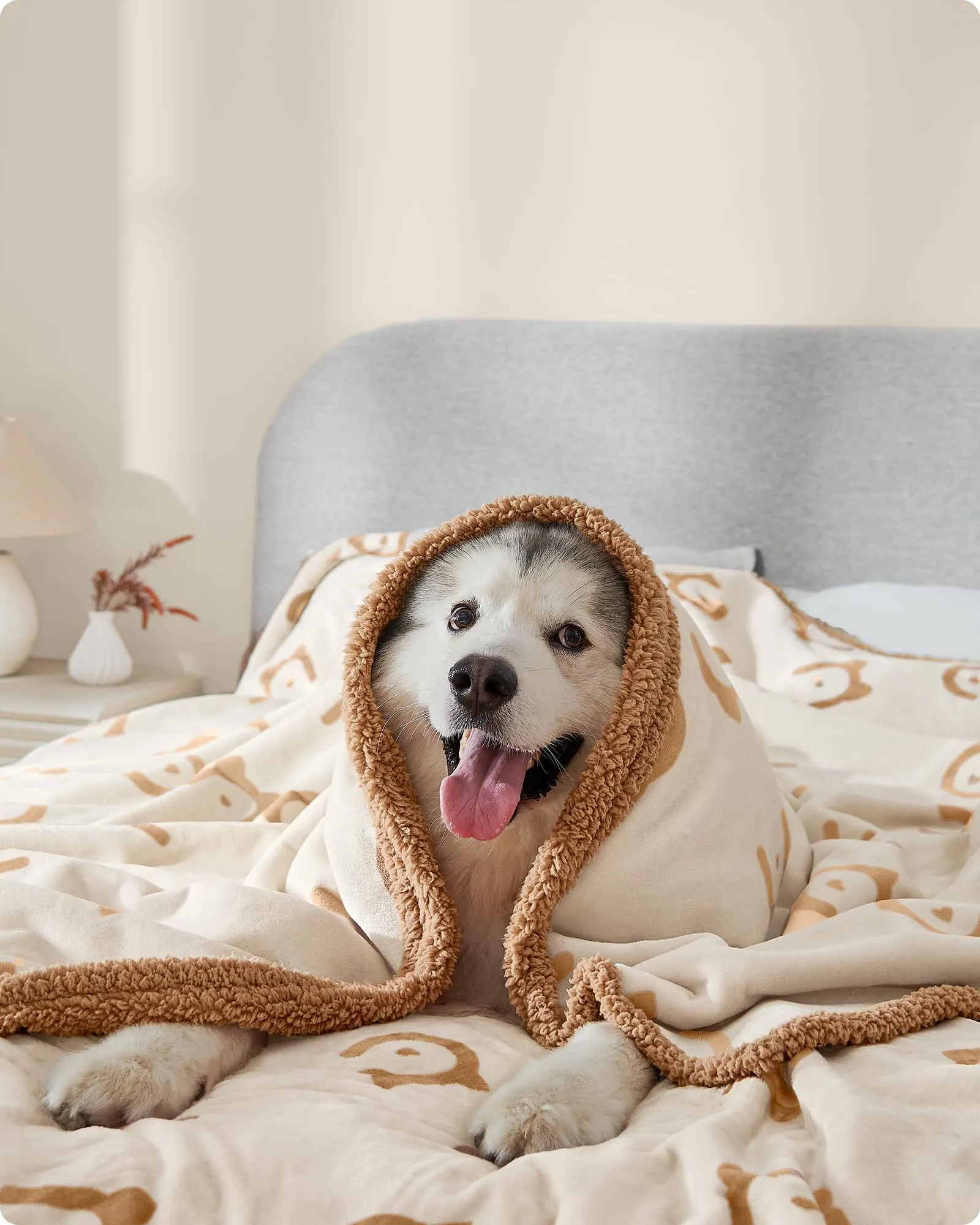 Feandrea Coperta Impermeabile per Cani in Sherpa, XXXL, 229 x 203 cm - immagine 4