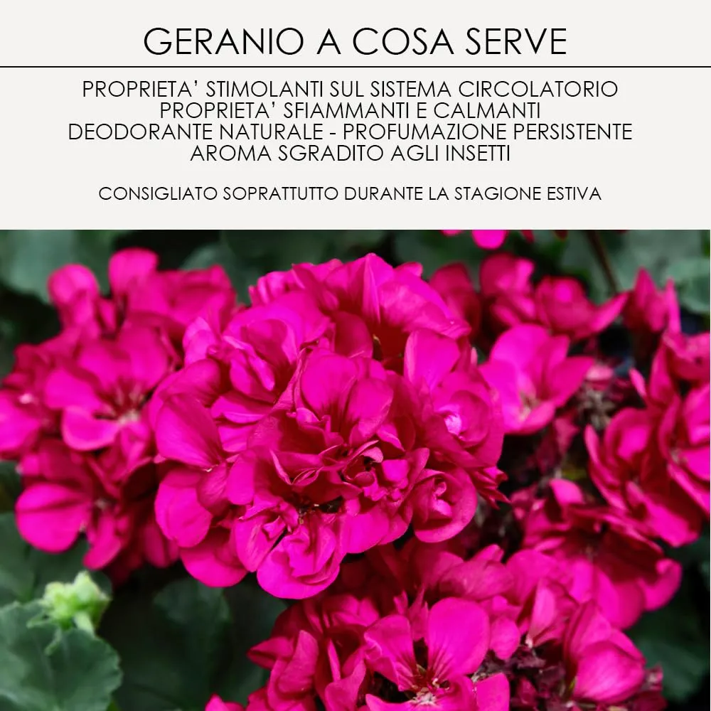 Wild Horses Crema Gel Geranio & Citronella con Oli Essenziali, 500g - immagine 4