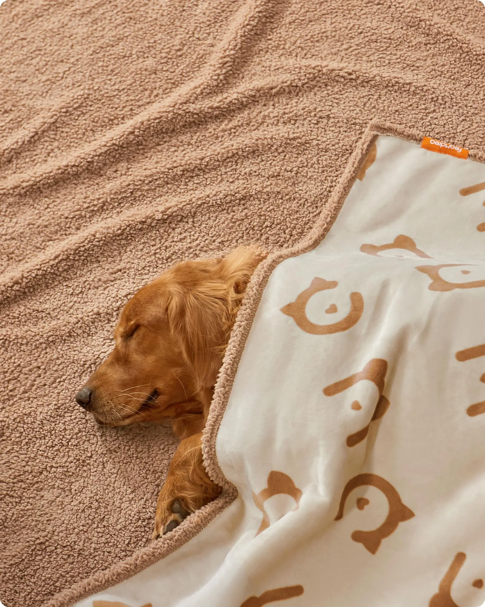 Feandrea Coperta Impermeabile per Cani e Gatti in Sherpa e Flanella, XXL 203 x 152 cm, Beige PPB080K01 - immagine 4