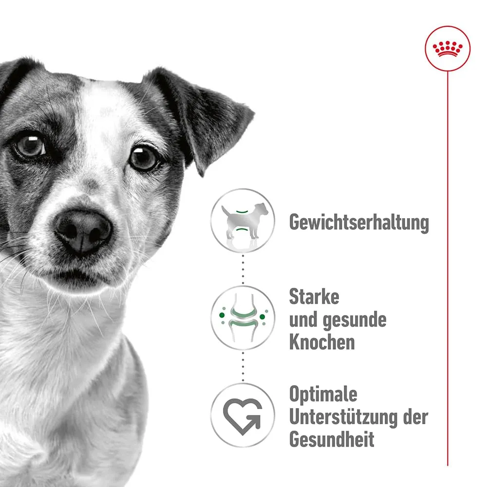 Royal Canin Mini Adult, 800 g - immagine 2