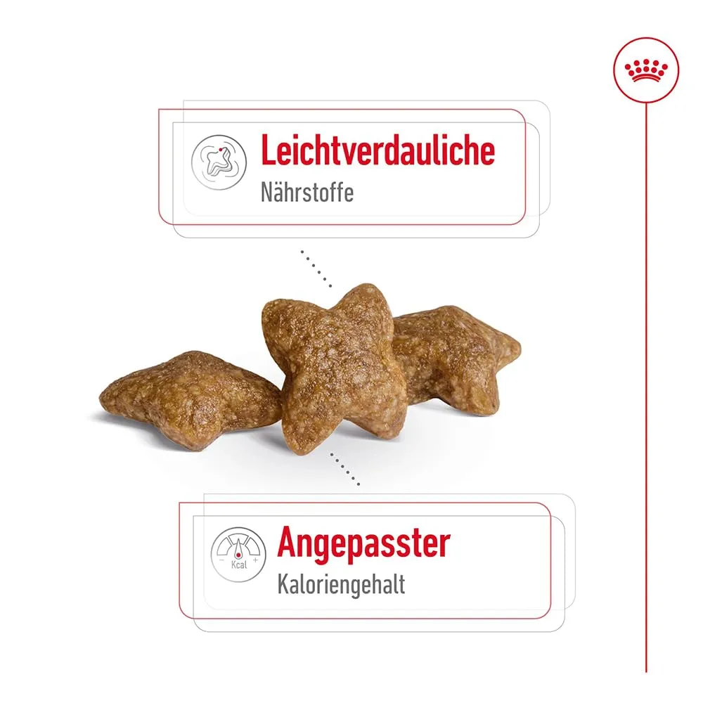 Royal Canin Mini Adult, 800 g - immagine 4