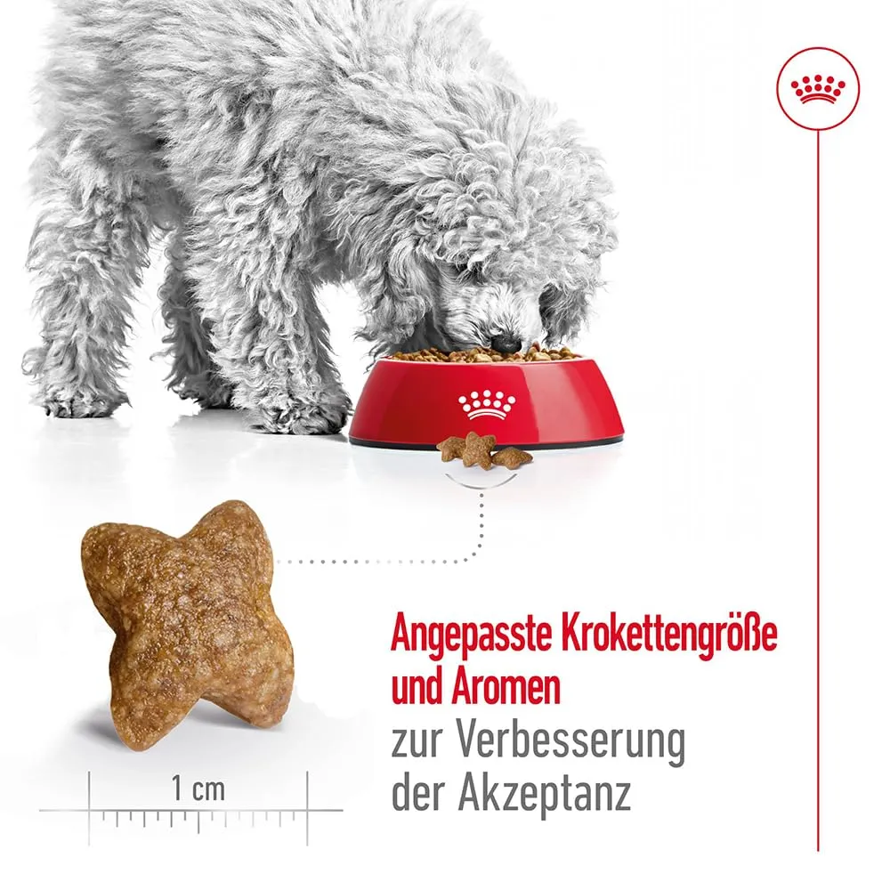 Royal Canin Mini Adult, 800 g - immagine 5