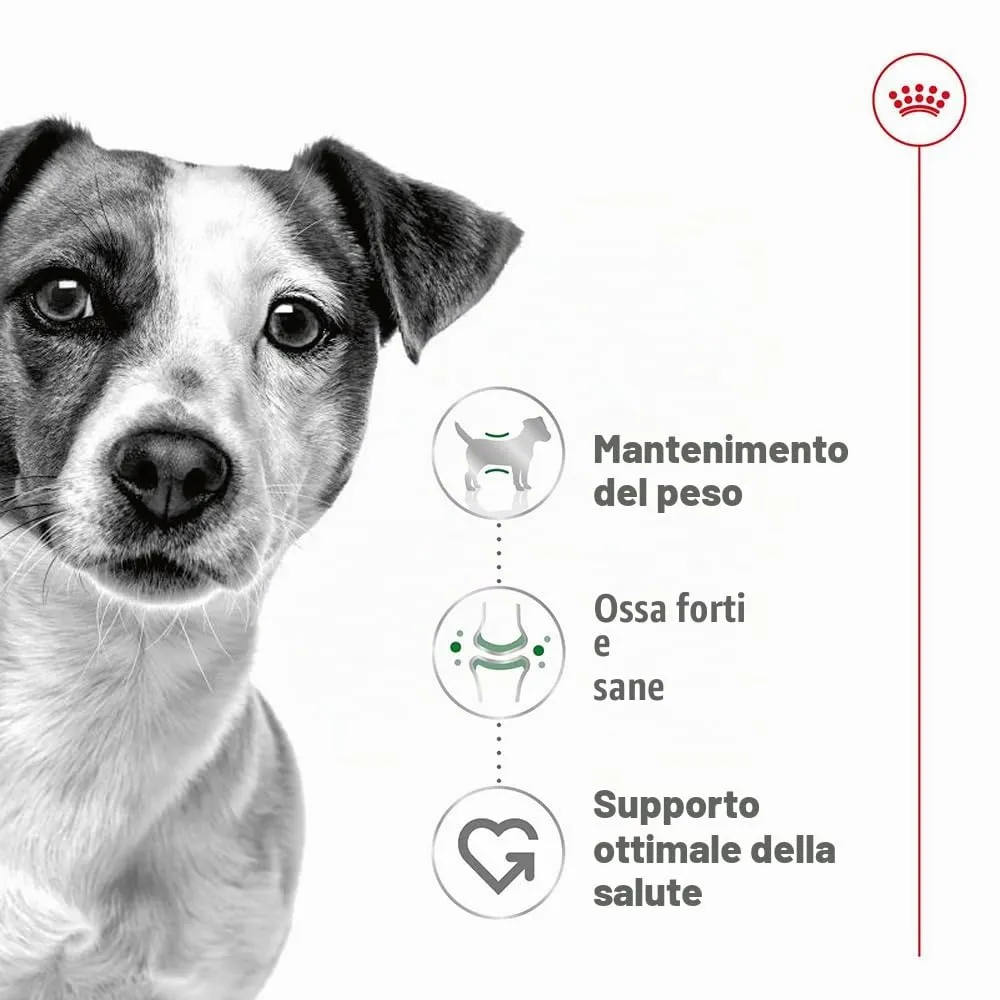 Royal Canin Mini Adult, 4 kg - immagine 2