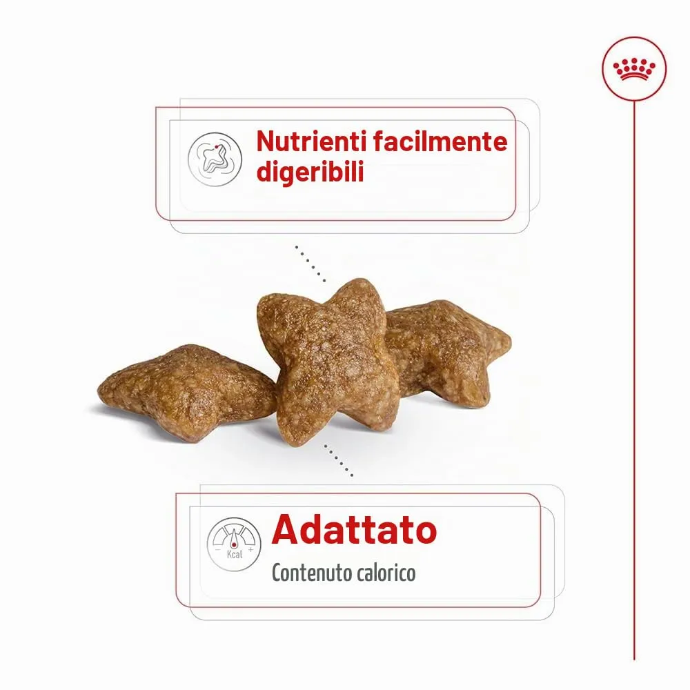 Royal Canin Mini Adult, 4 kg - immagine 4