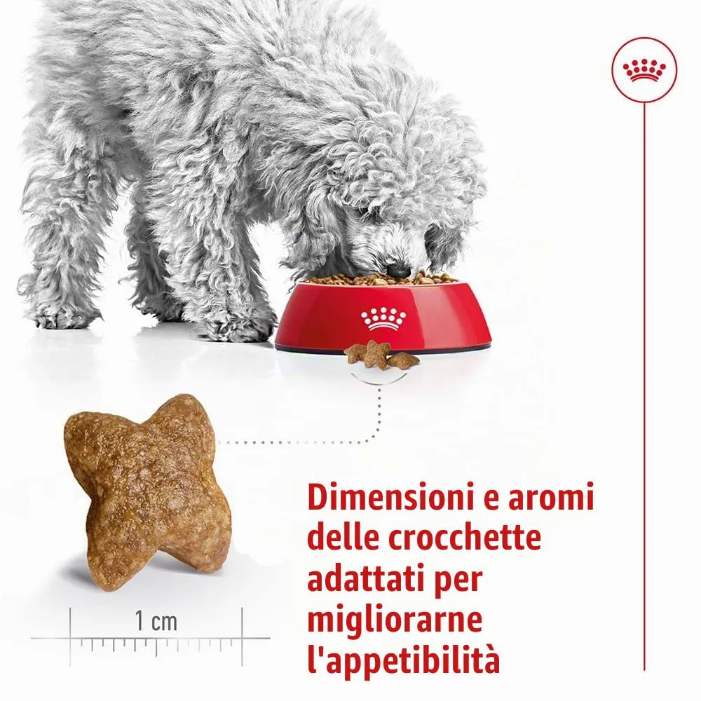 Royal Canin Mini Adult, 4 kg - immagine 5
