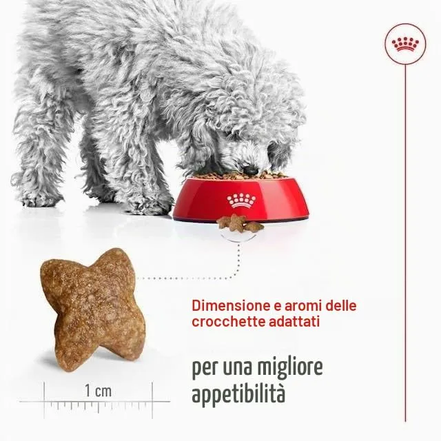 Royal Canin Mini Adult, 2 kg - immagine 7