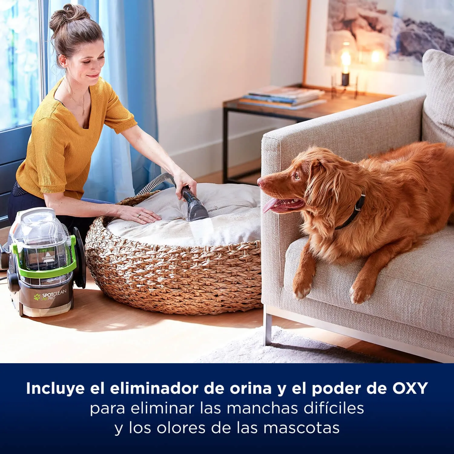 BISSELL Spot & Stain Pet Pro Oxy Soluzione 20343 - immagine 5