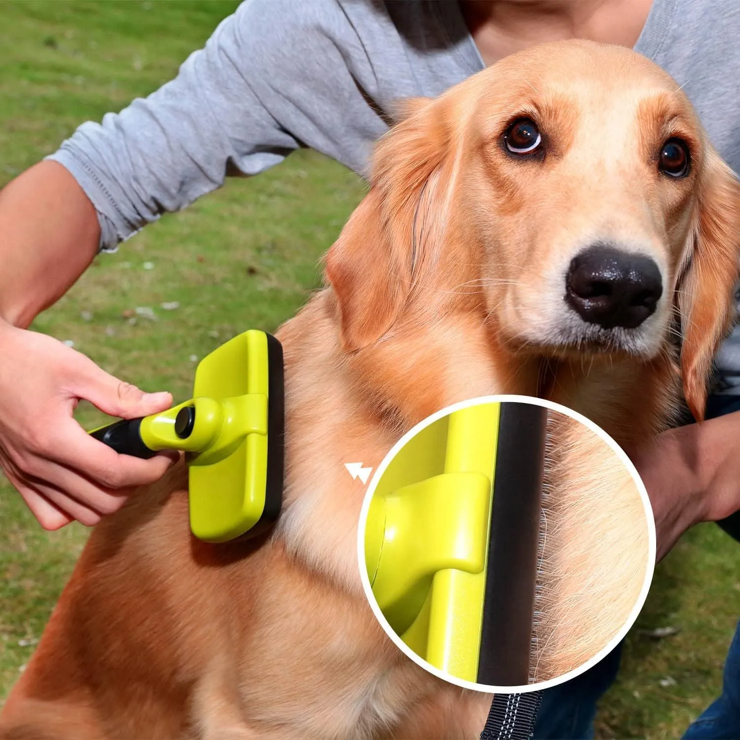 Pecute Spazzola per Cani, Denti Lisci in Acciaio Inossidabile - immagine 2