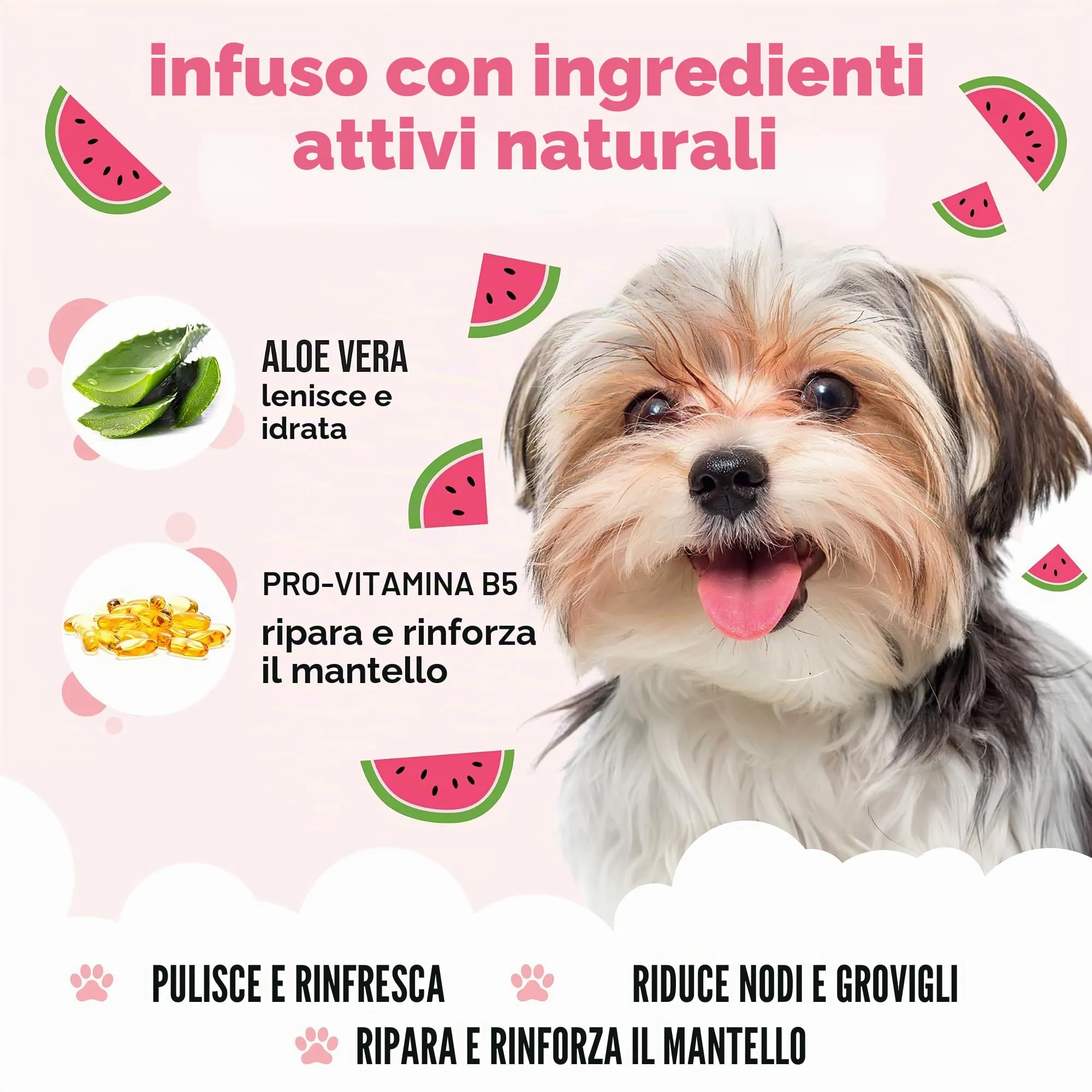 Shampoo per cani all'anguria di Buddycare – Shampoo detergente profondo per cani – Profumo fruttato – con aloe vera e pro vitamina B5 (500 ml) - immagine 3