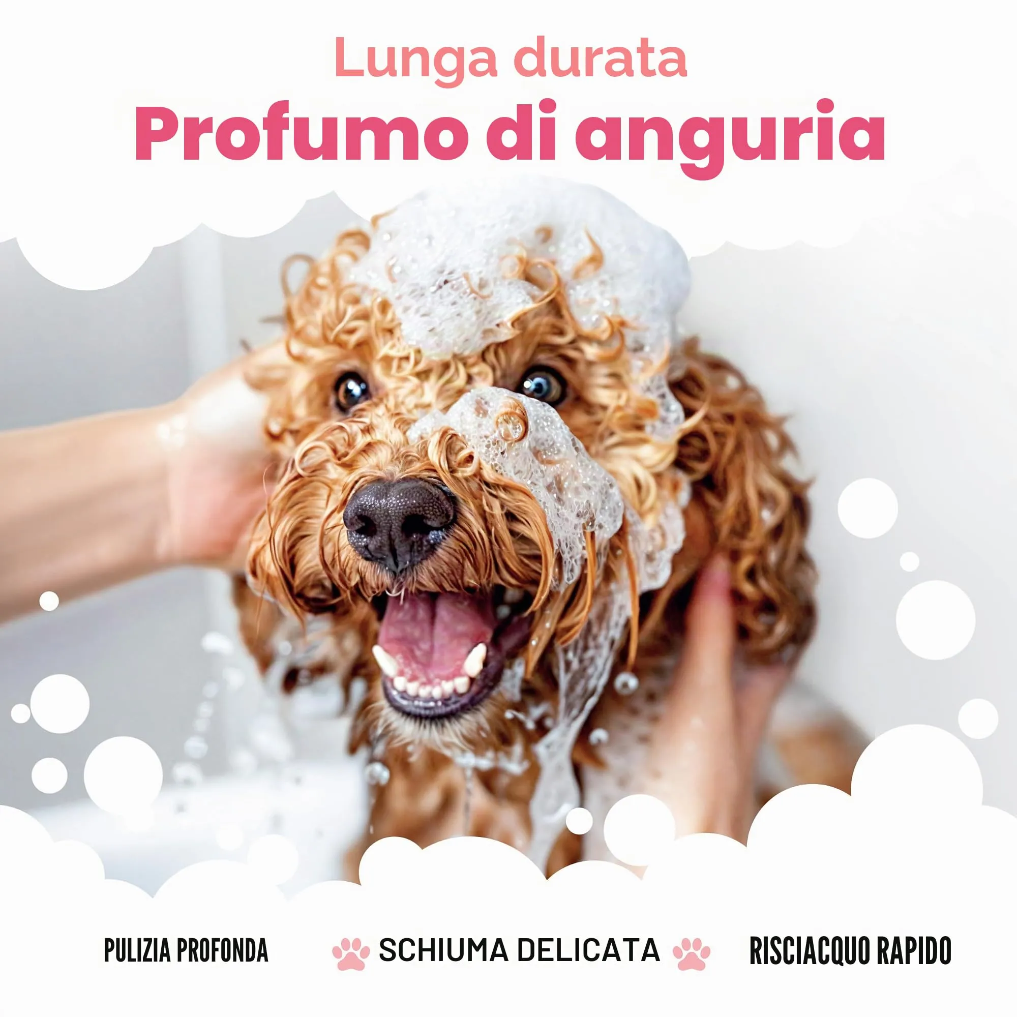 Shampoo per cani all'anguria di Buddycare – Shampoo detergente profondo per cani – Profumo fruttato – con aloe vera e pro vitamina B5 (500 ml) - immagine 4